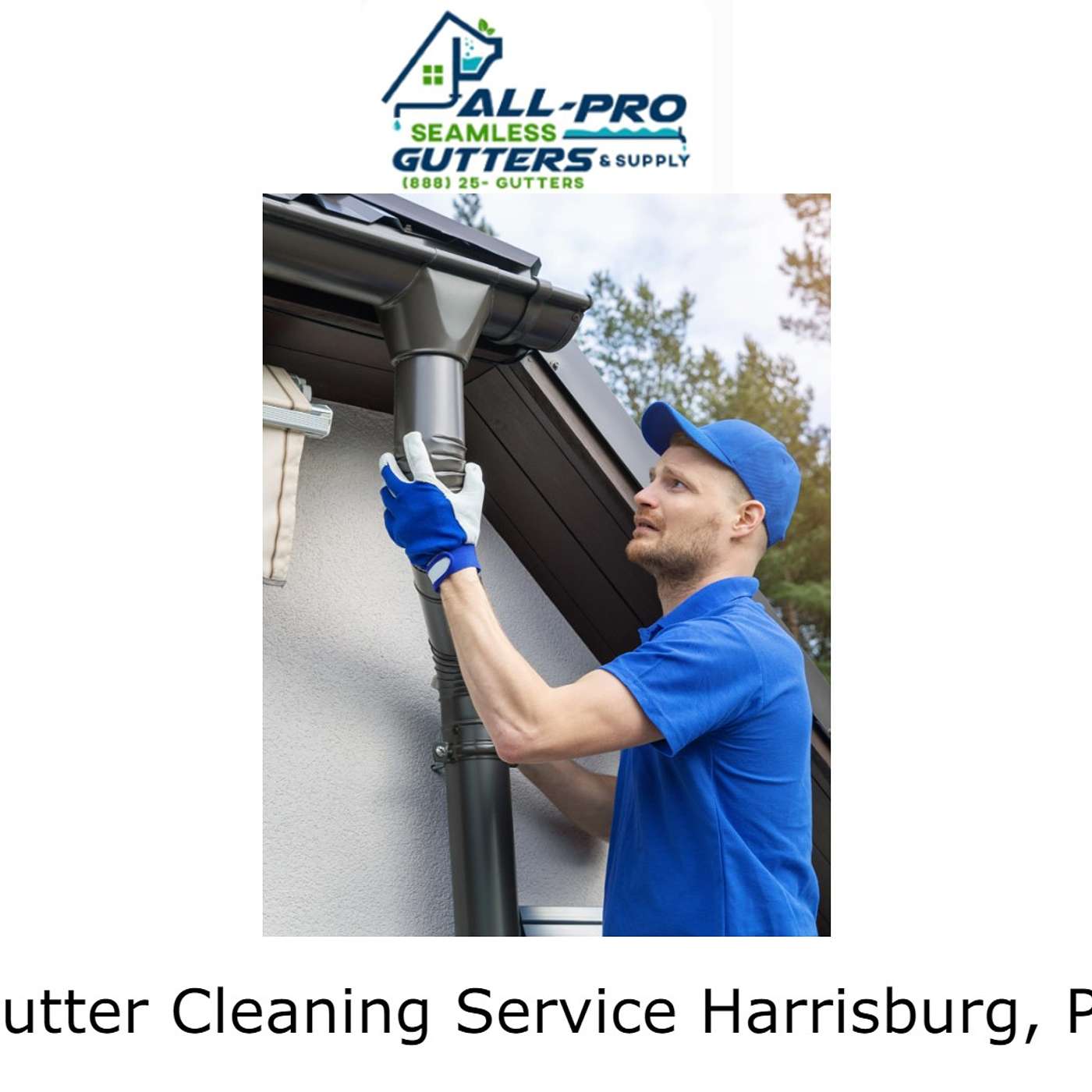 All Pro Gutter Guards