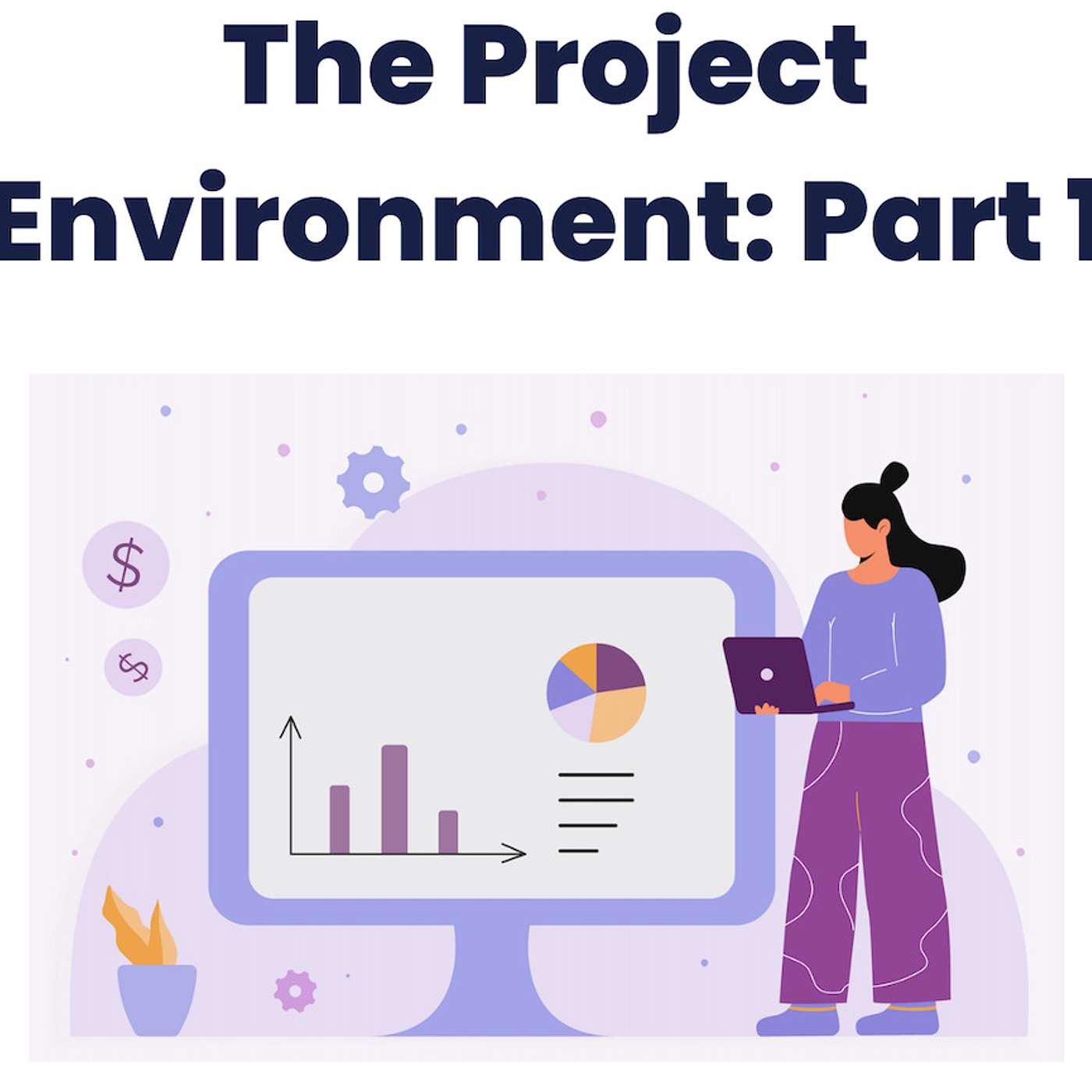 The Project Environment_Part 1