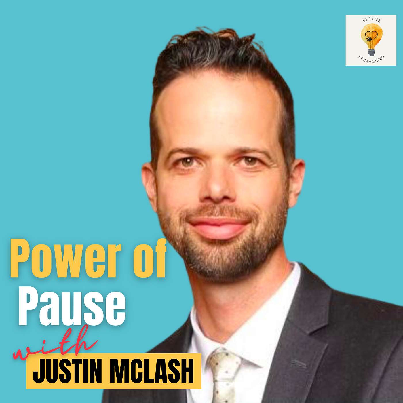 Career Transitions: Once a Veterinarian, Always a Veterinarian with Dr. Justin McLash episode artwork