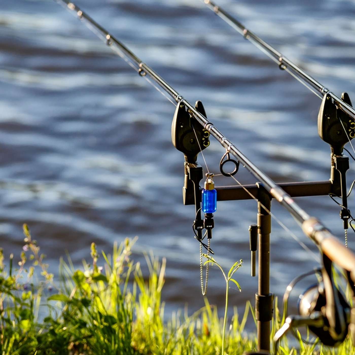 Badges & Bobbers Fishing Event in Prescott Valley