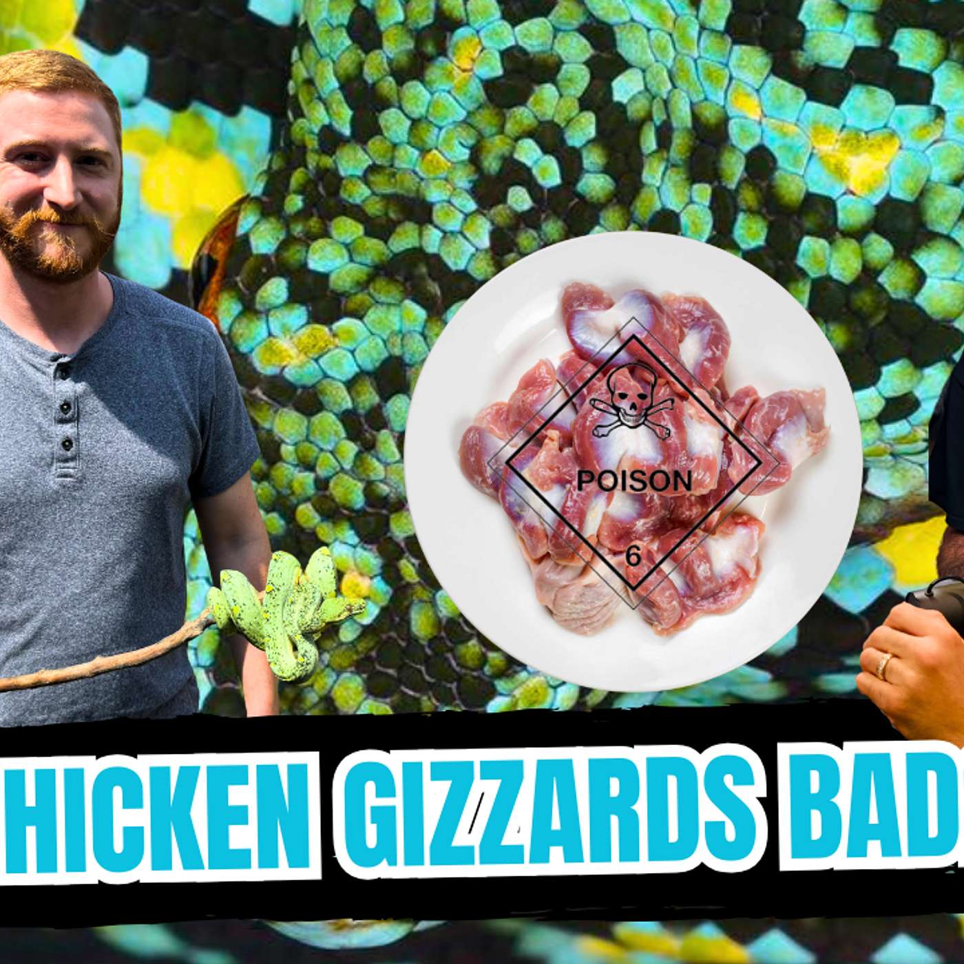 Is Chicken Gizzards NOT A Good Source Of Food For Baby Green Tree Pythons? | All In The Tree Tuesday