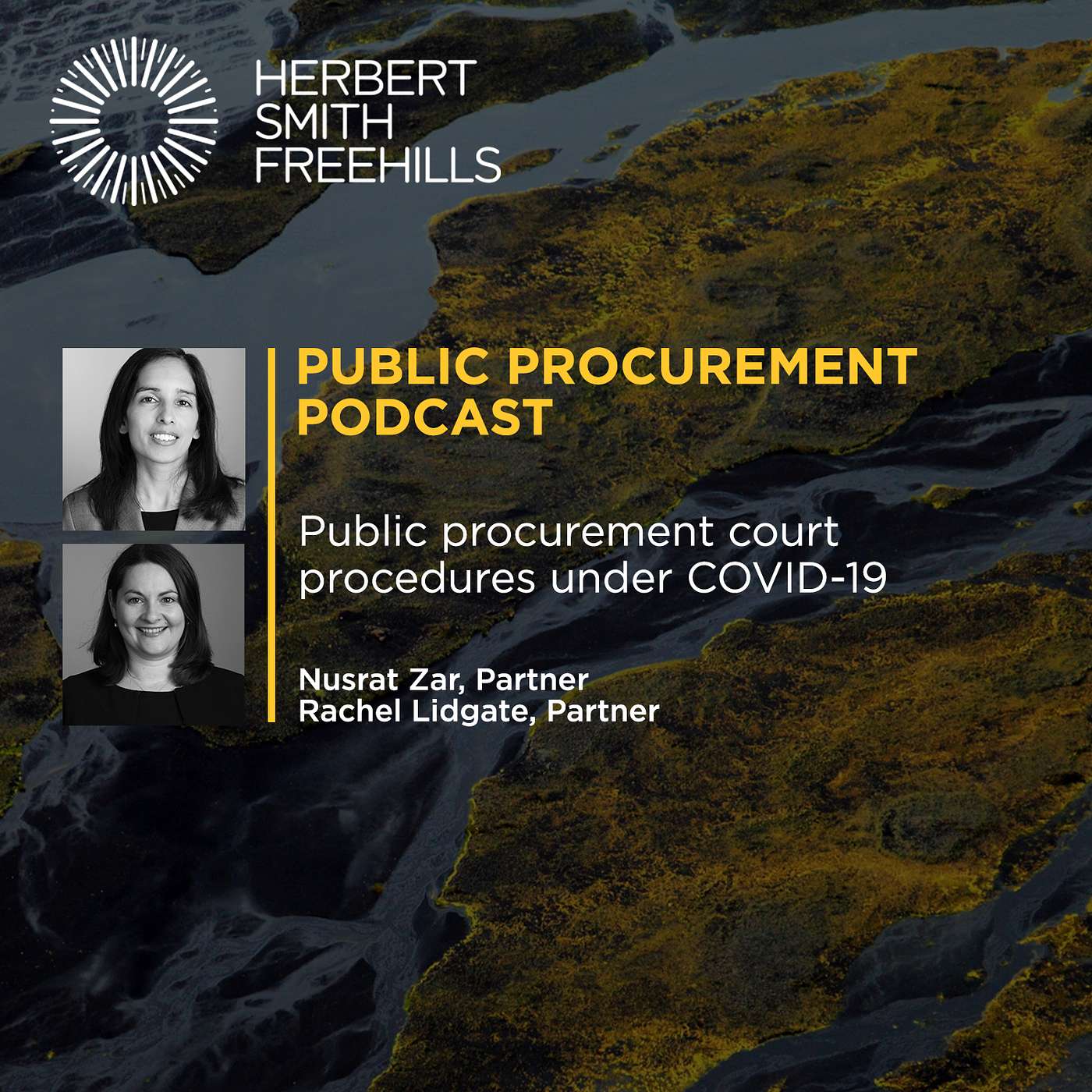 Public Procurement Podcast Series: Public procurement court procedures under COVID-19 episode artwork
