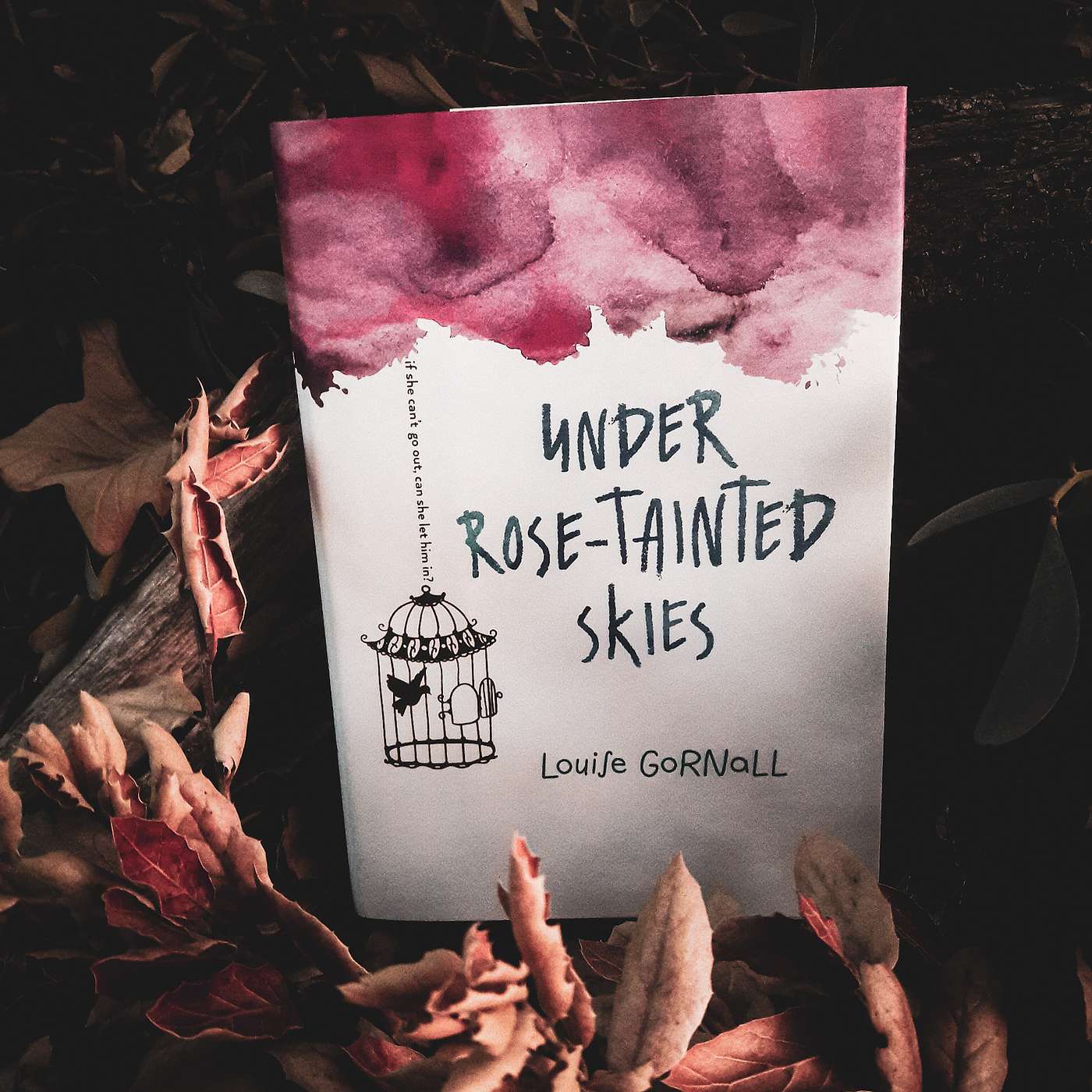 S1.E11 Book of the Month: Under Rose-Tainted Skies