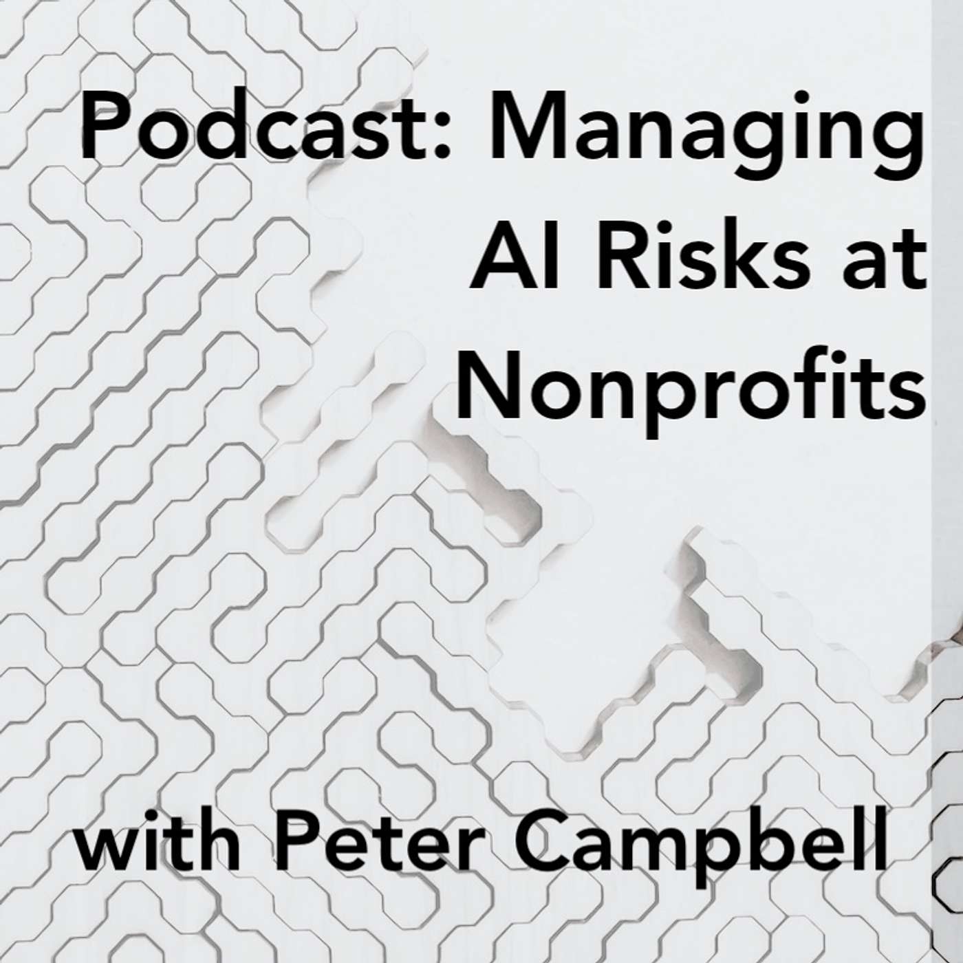 Managing AI Risks at Nonprofits with Peter Campbell