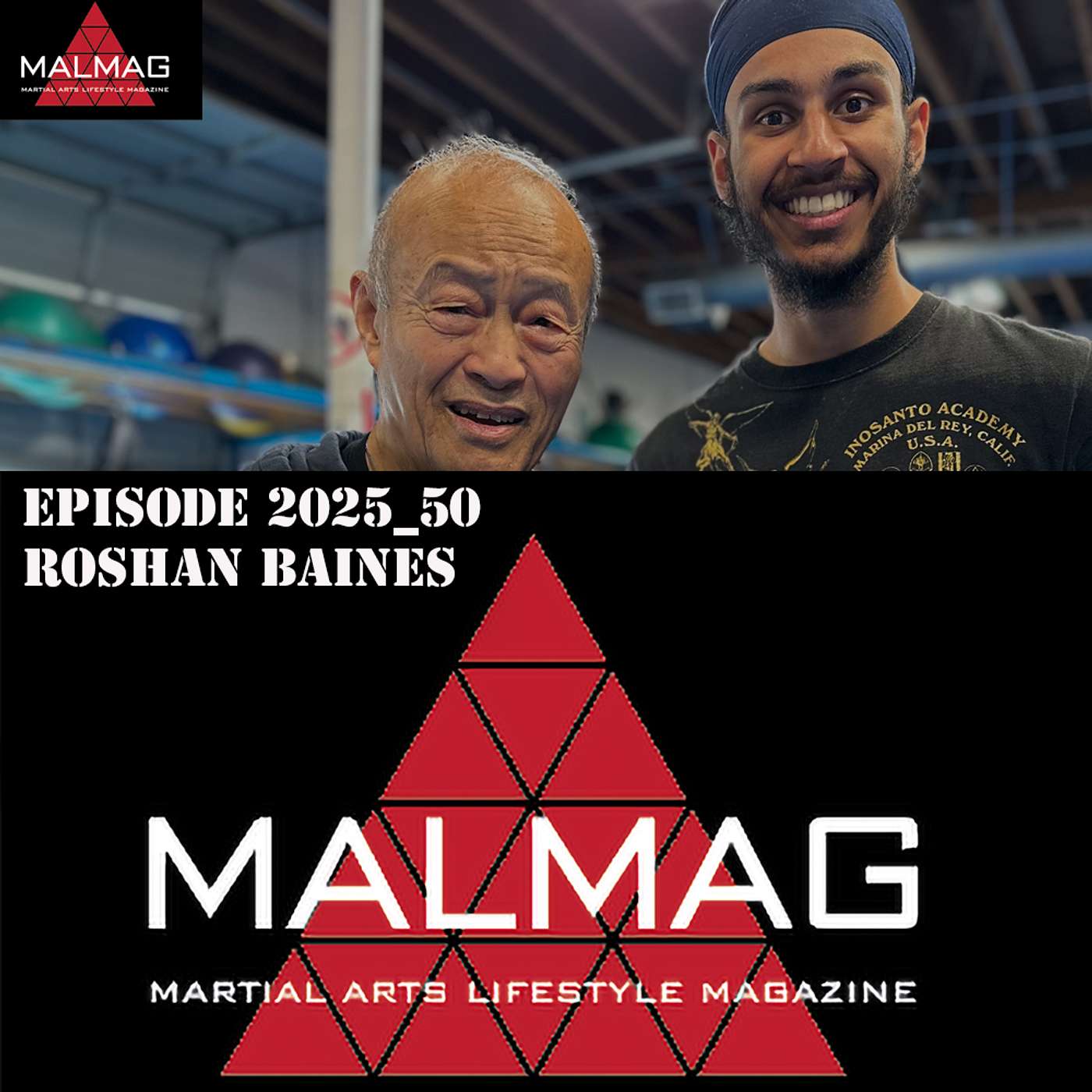 The Martial Arts Lifestyle Podcast