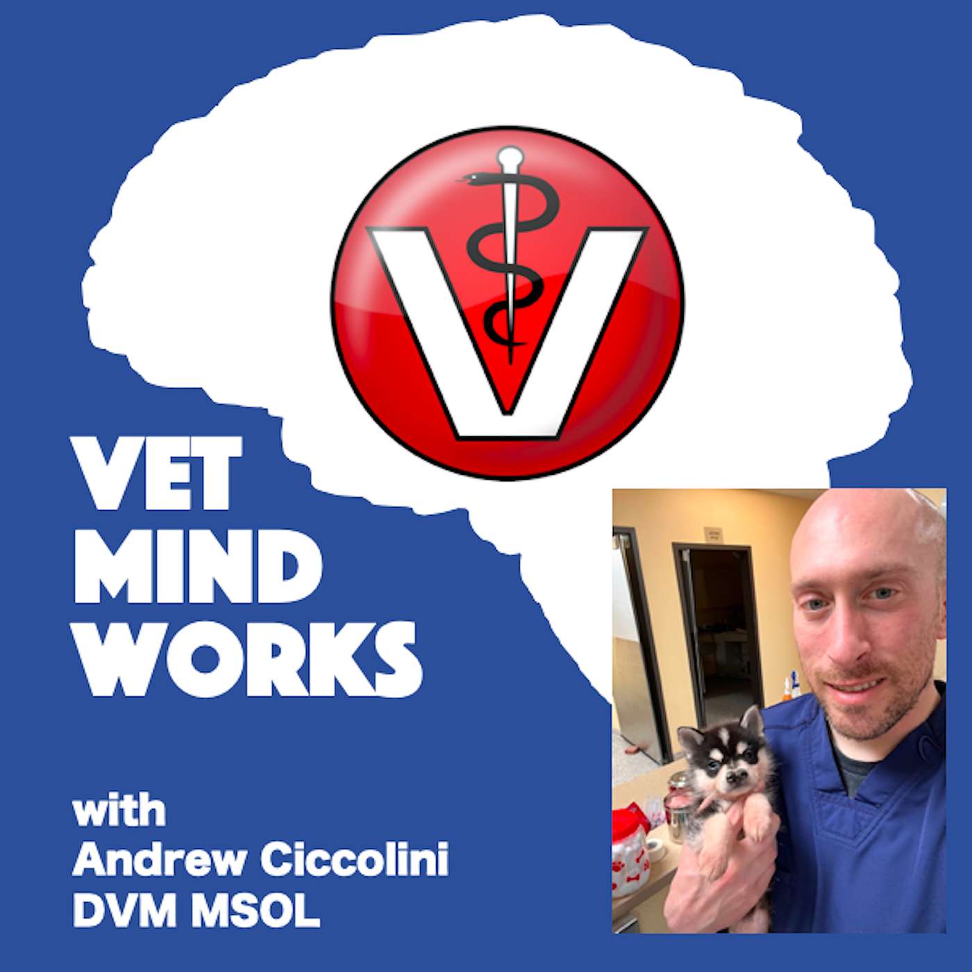 Vet Mind Works Podcast