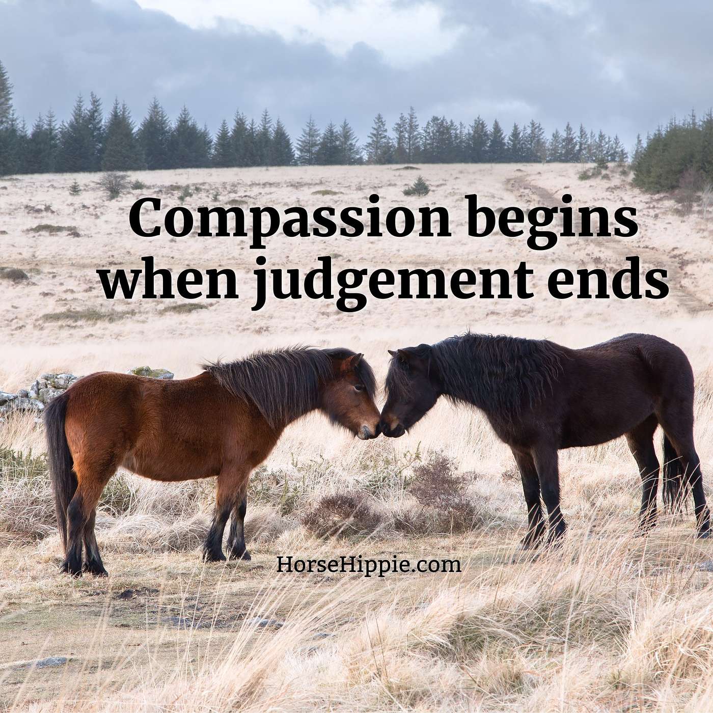 Compassion over Judgment