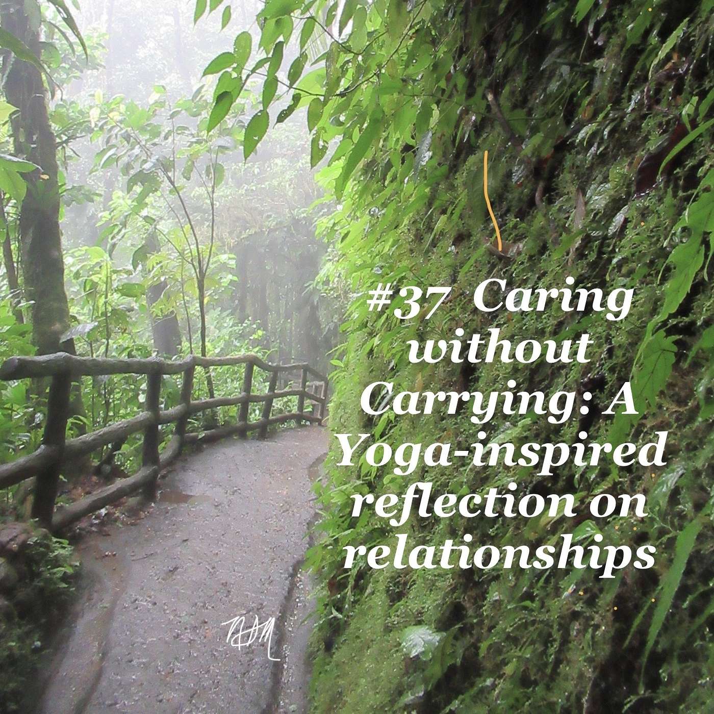 #37 Caring without Carrying: A Yoga-inspired reflection on relationships
