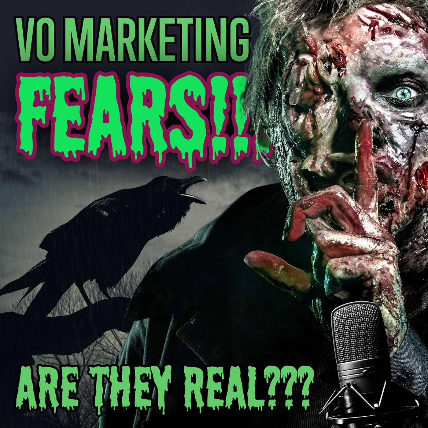 The 2 BIGGEST Voice Over Marketing FEARS & Why They're BULL episode artwork