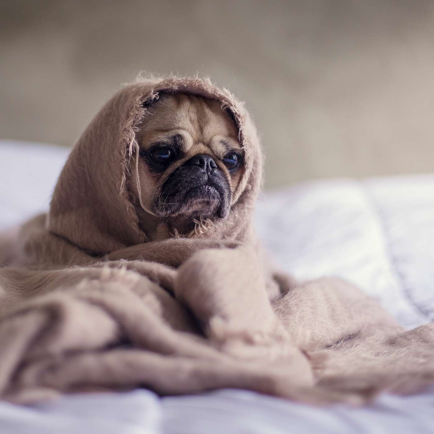 How to Deal With Depression: Sarah’s Honest Story of Coping and Recovery