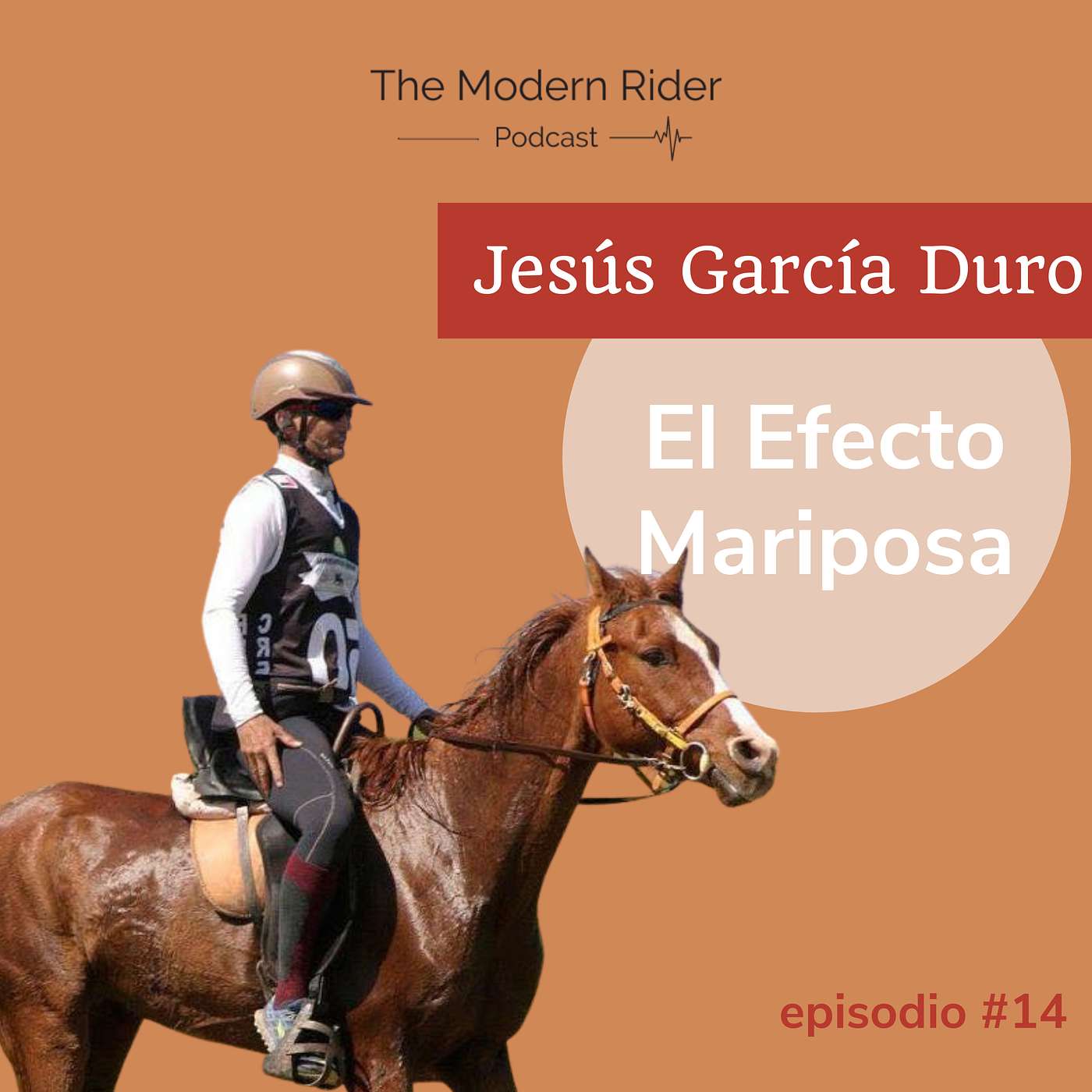 The Modern Rider