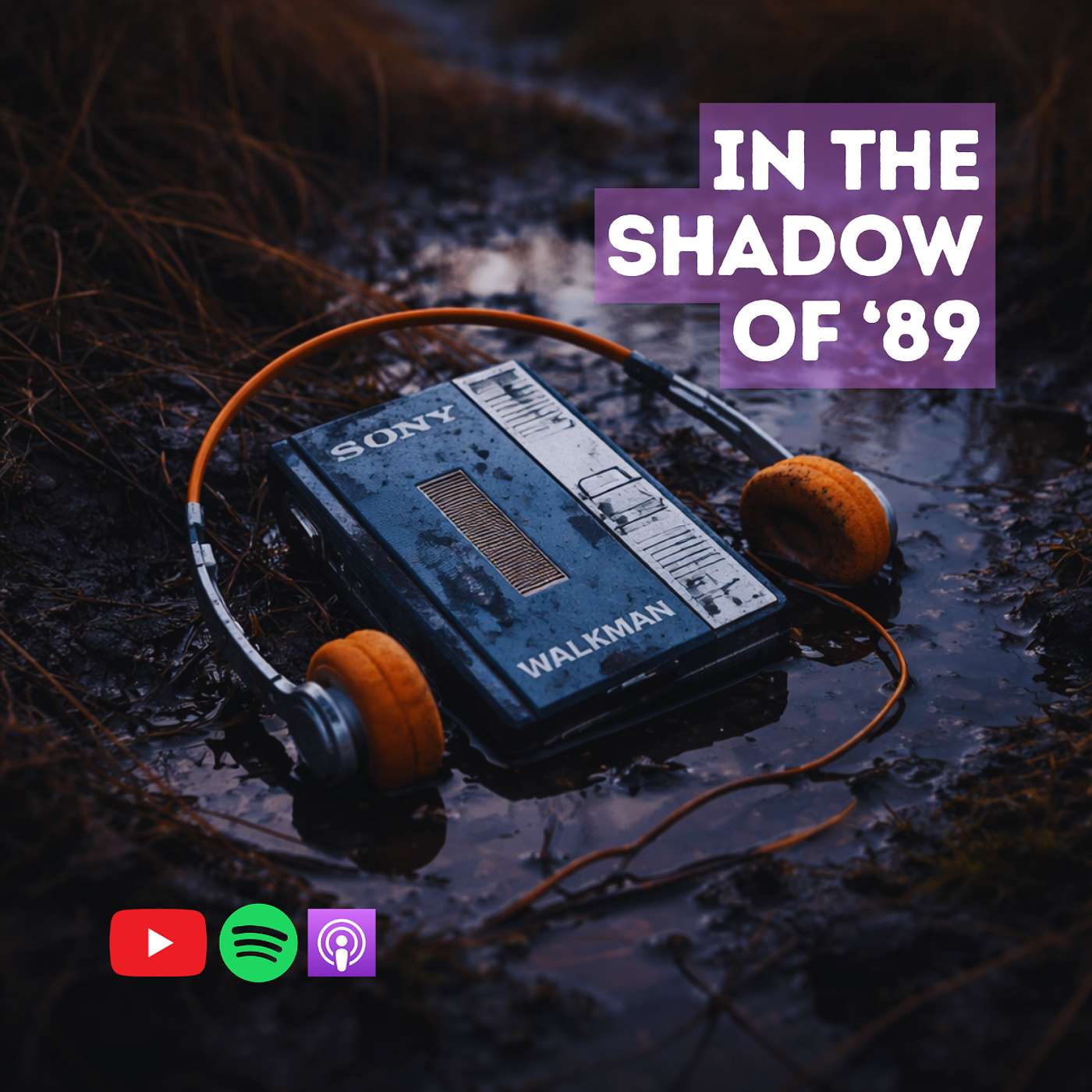In the Shadow of 89 cover art