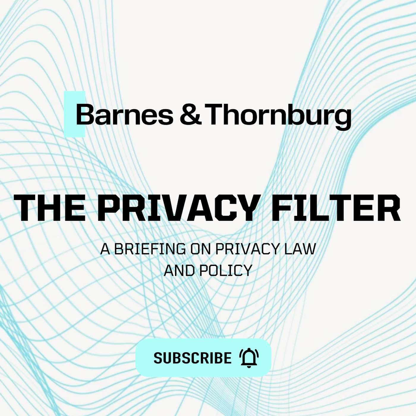 The Privacy Filter: A Briefing on Privacy Law and Policy podcast artwork