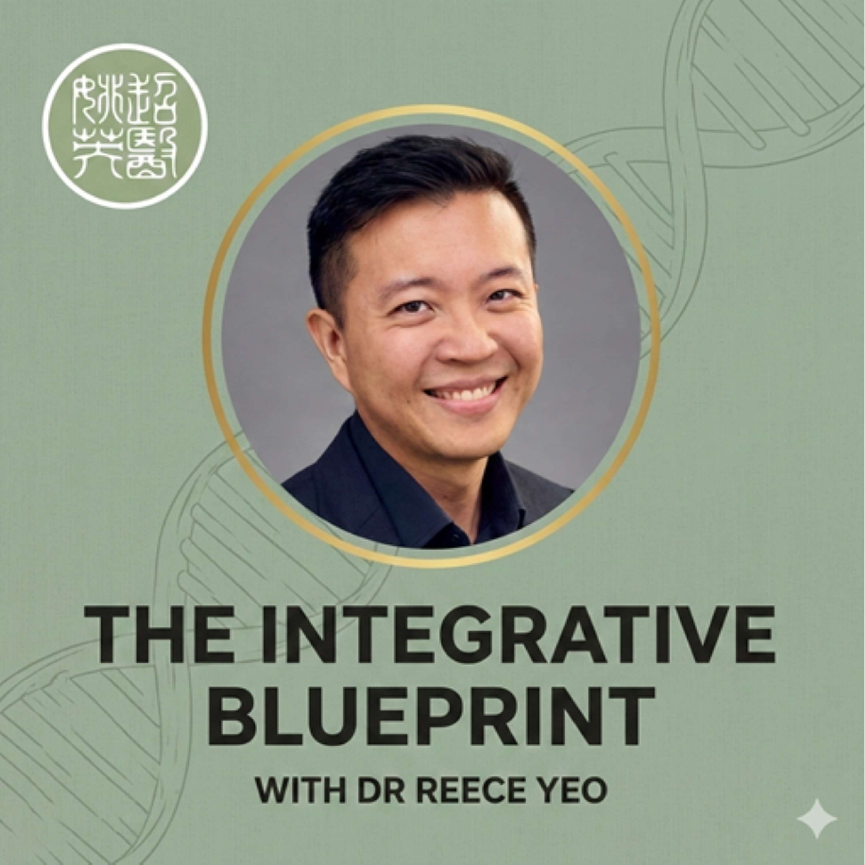 The Integrative Blueprint cover art