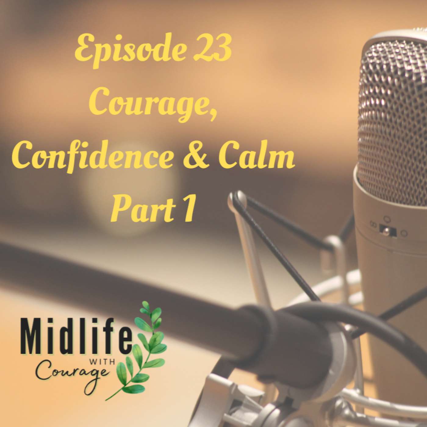 Episode 23-Courage, Confidence and Calm Part 1