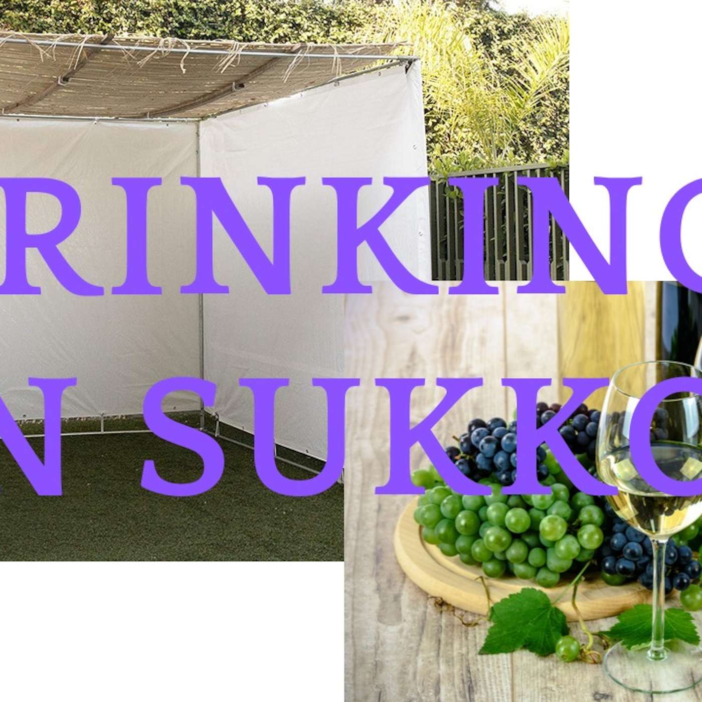 The Jewish Drinking Show