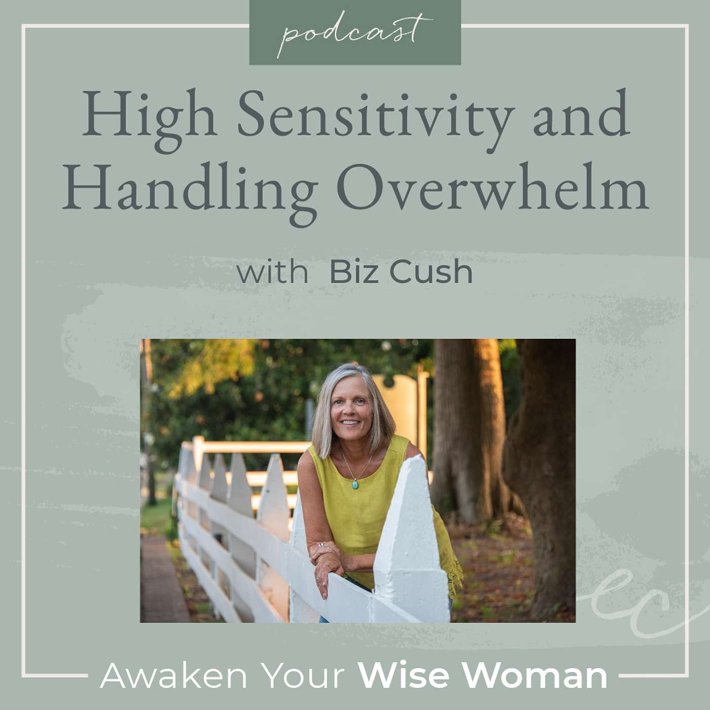 High Sensitivity and Handling Overwhelm High Sensitivity and Handling Overwhelm