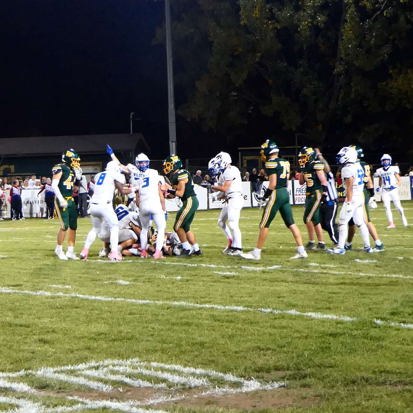 Fourth-Quarter Miracle: Columbia Falls Stuns Whitefish in Cat-Dog Comeback