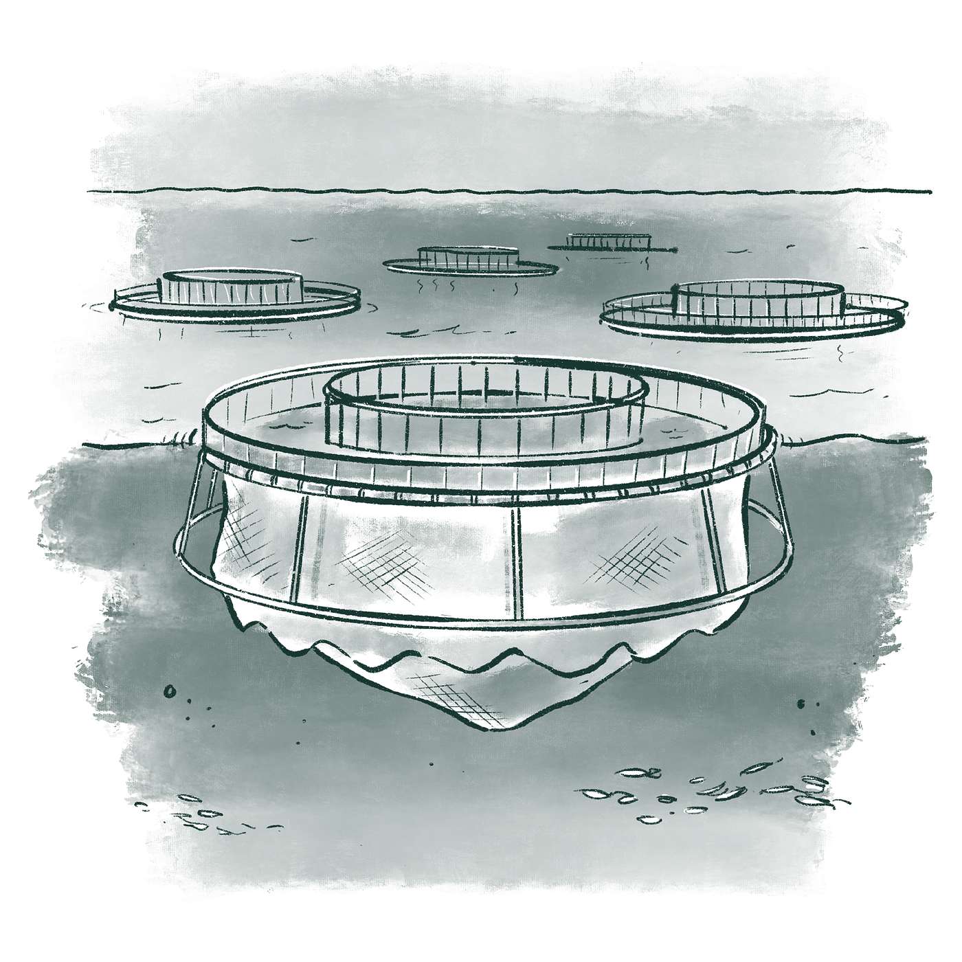 Biosolutions enhance aquaculture productivity