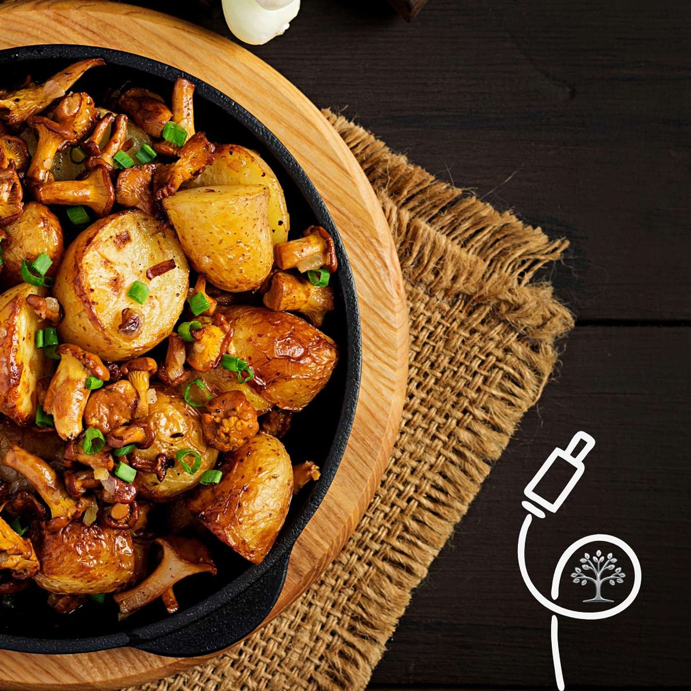Chanterelle Mushrooms: The Superfood Hiding in Plain Sight episode artwork