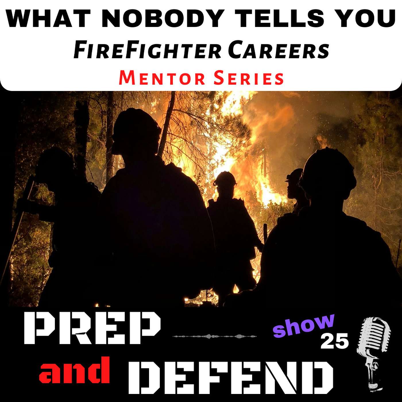 Firefighter Careers - What Nobody Told You - Mentor Series