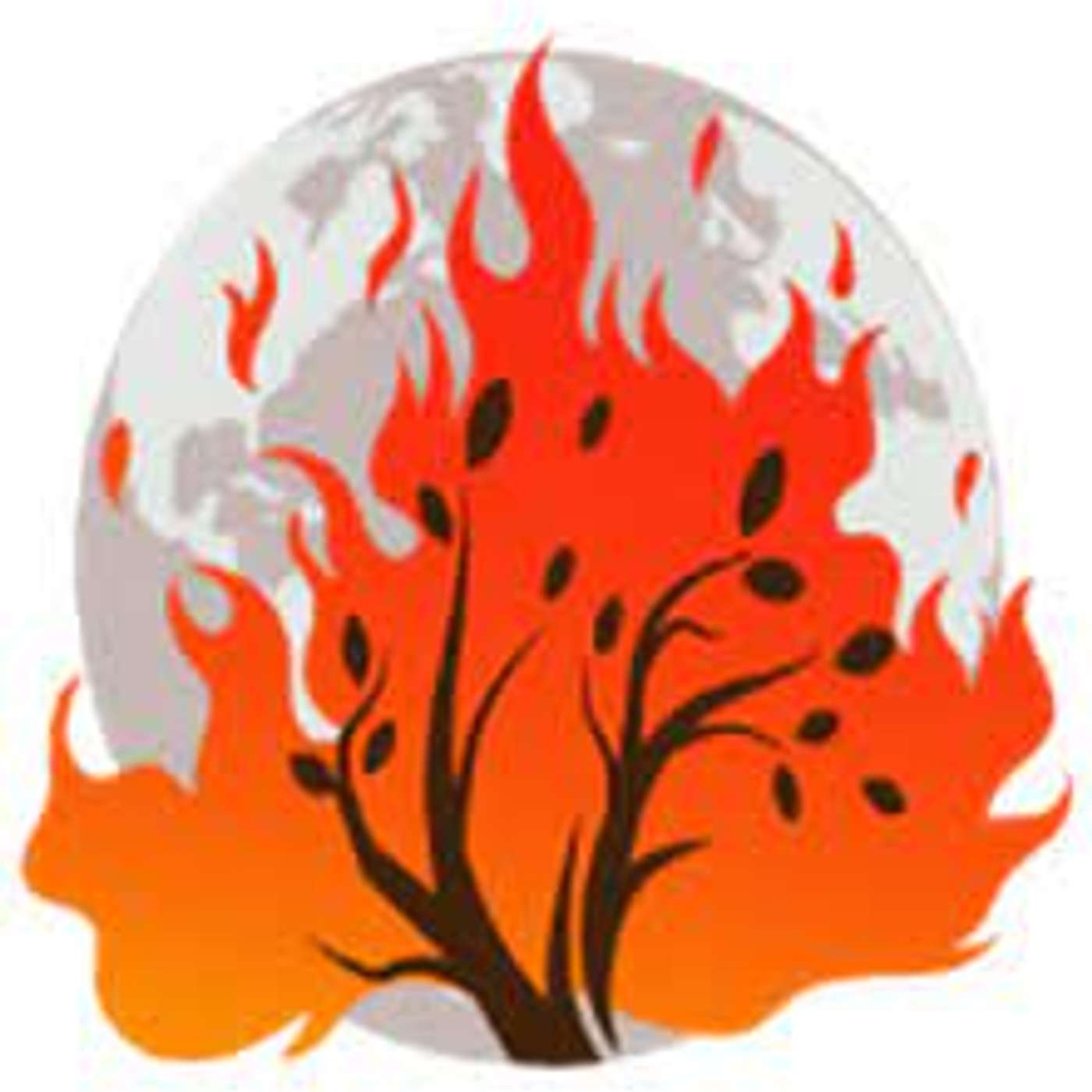 C&SI - Exploring the Season of Creation - 25 Sept 2022 (S02E45b) (Podcast Excerpt)