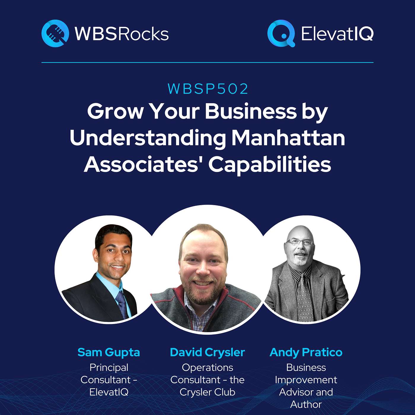 WBSP502: Grow Your Business by Understanding Manhattan Associates' Capabilities, an Objective Panel Discussion