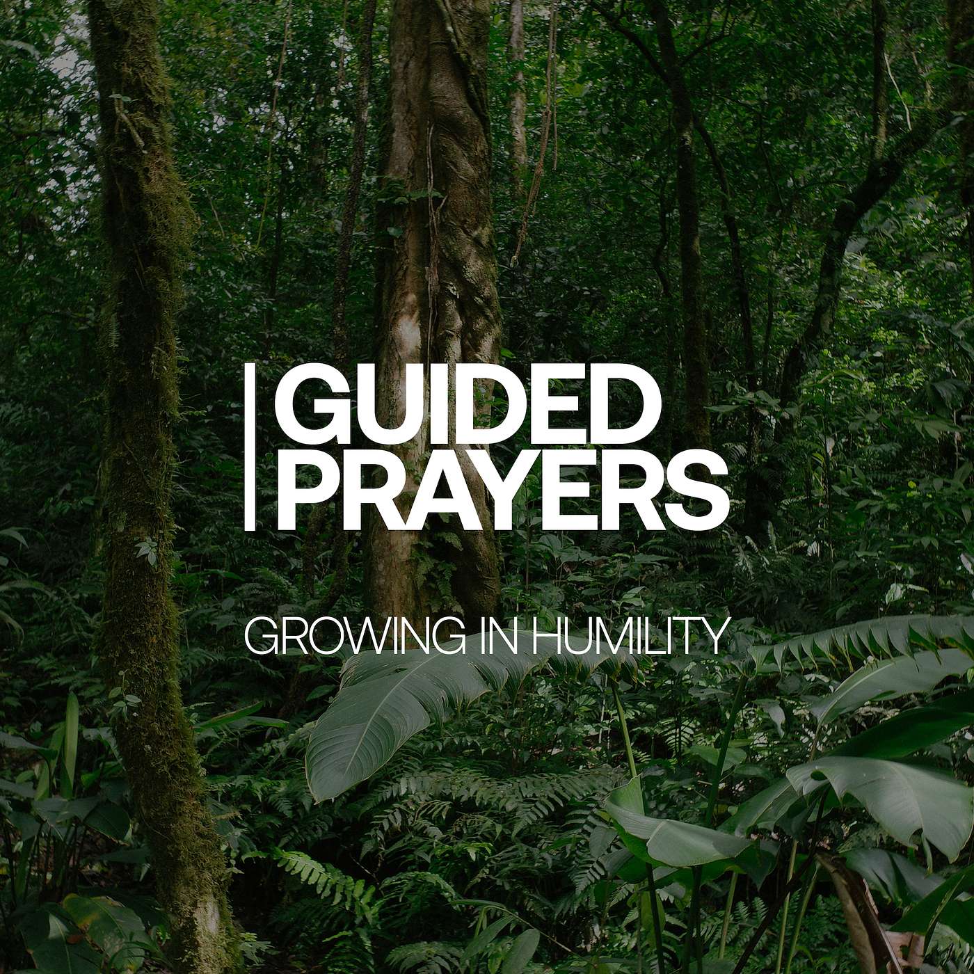 Growing In Humility | Guided Prayers episode artwork