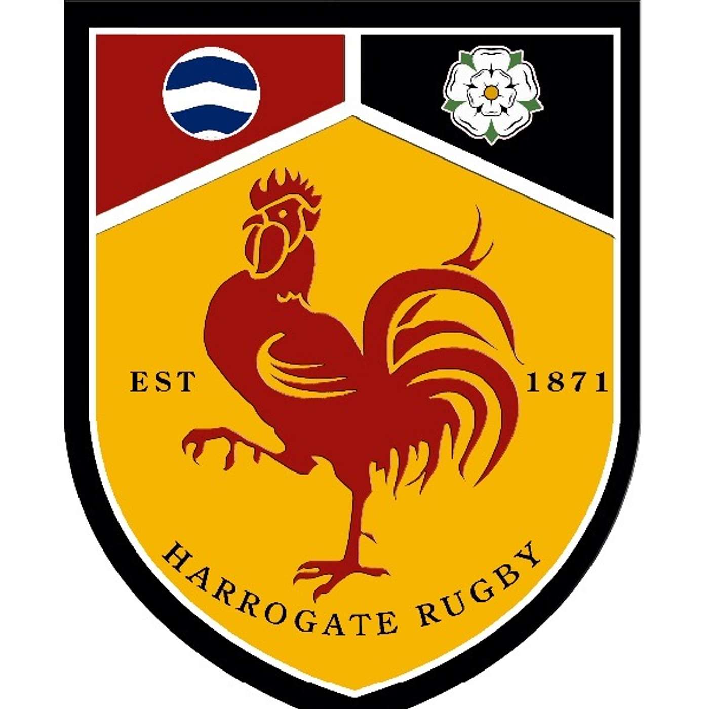 Harrogate Rugby:  150 Years