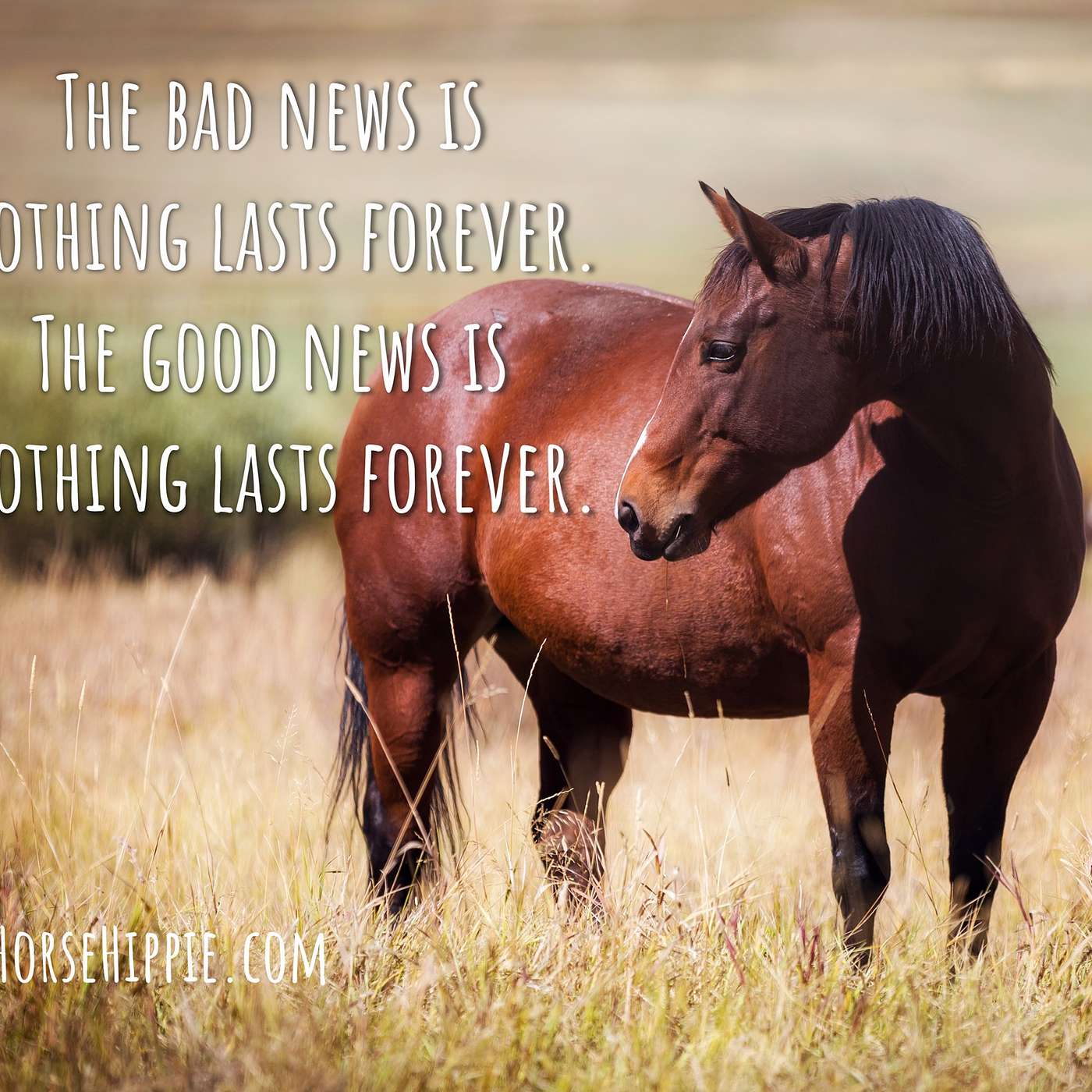 Nothing Lasts Forever