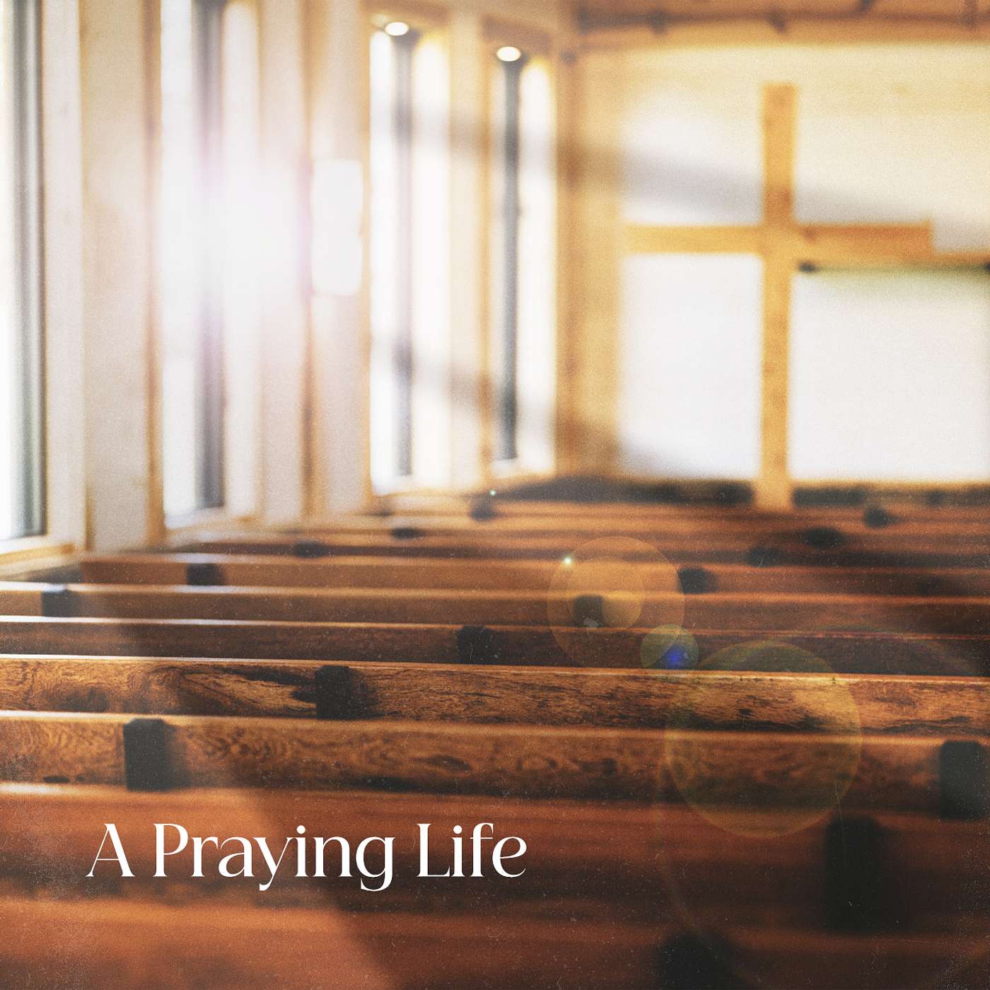 A Praying Life: Prayer in the Busyness (2/5) A Praying Life: Prayer in the Busyness (2/5)