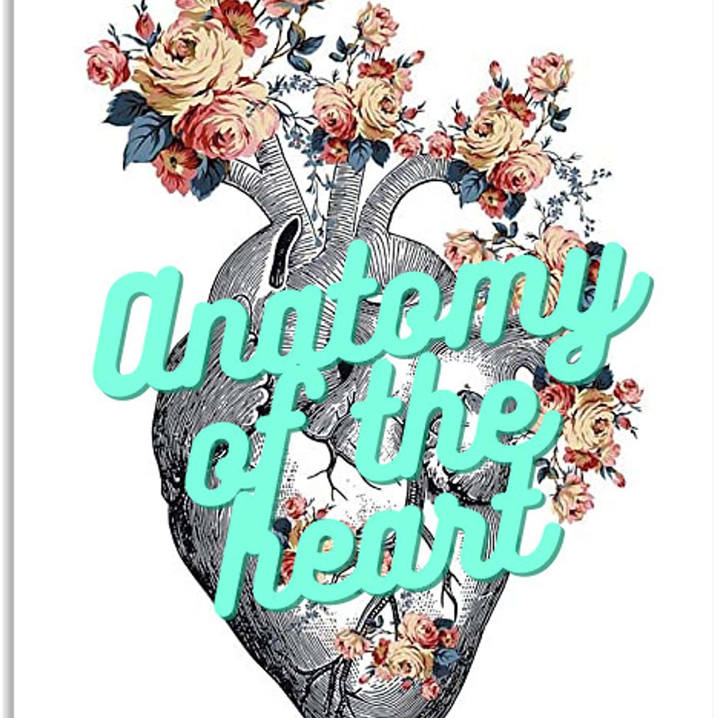 Anatomy of the heart