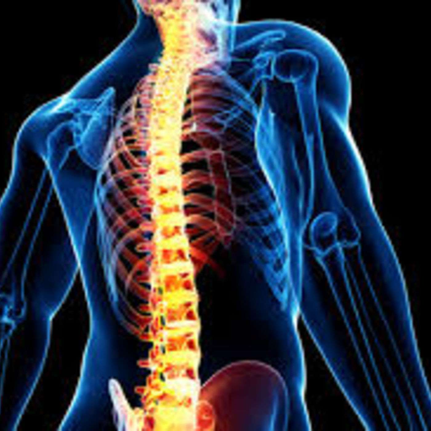 Self Adjustment of the Spine
