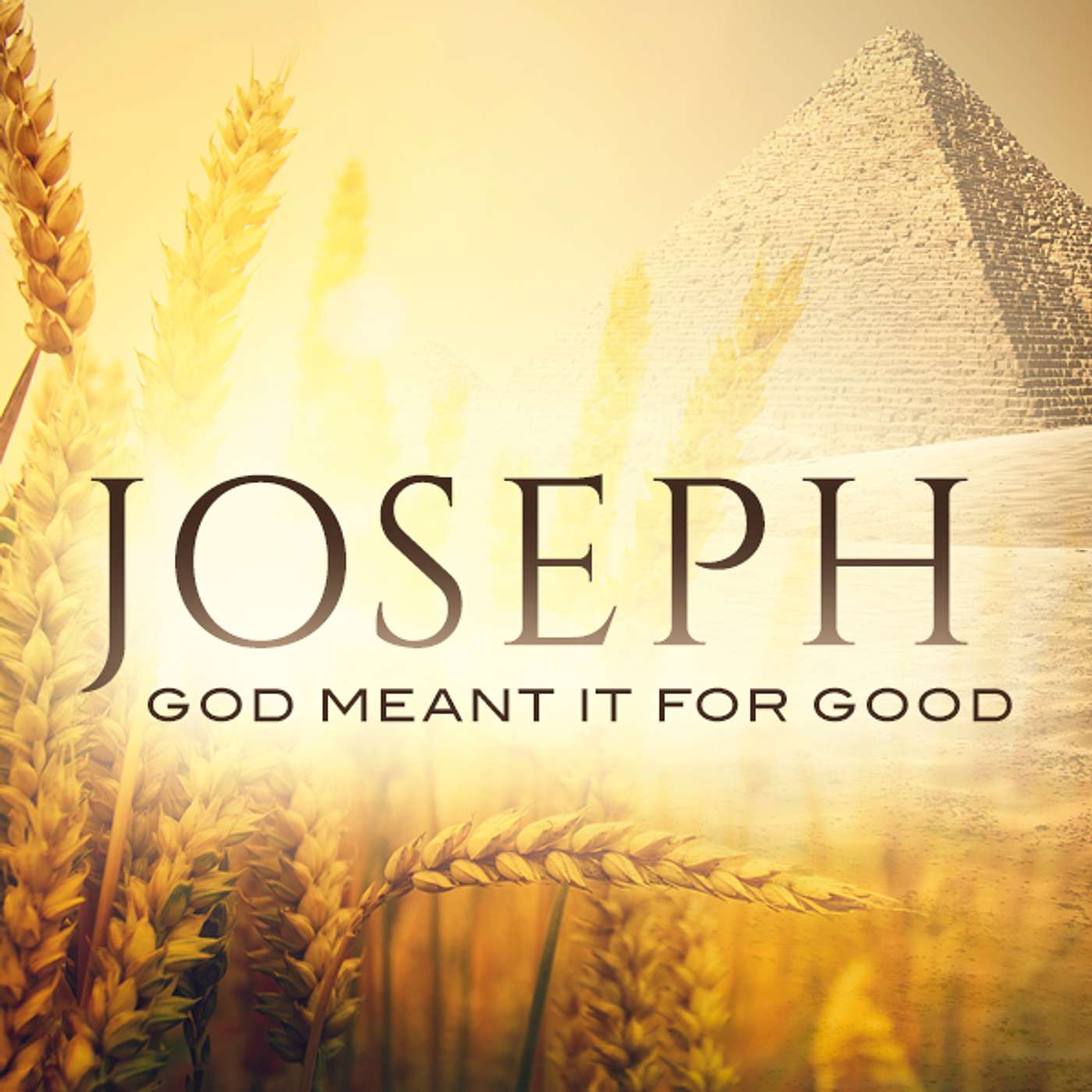 Joseph - Part 5 | When Dreams Come True - Genesis 41:37-43 | Tony Walliser episode artwork