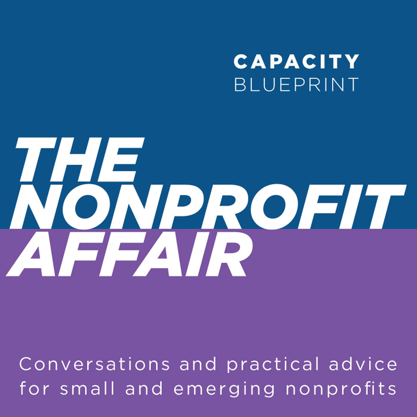 The Nonprofit Affair