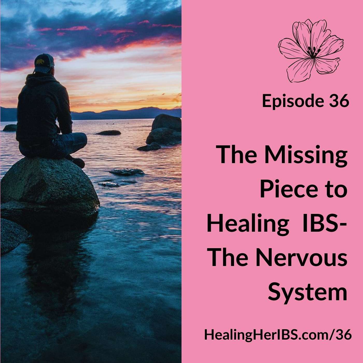 Episode 36: The Missing Piece to Healing IBS-The Nervous System