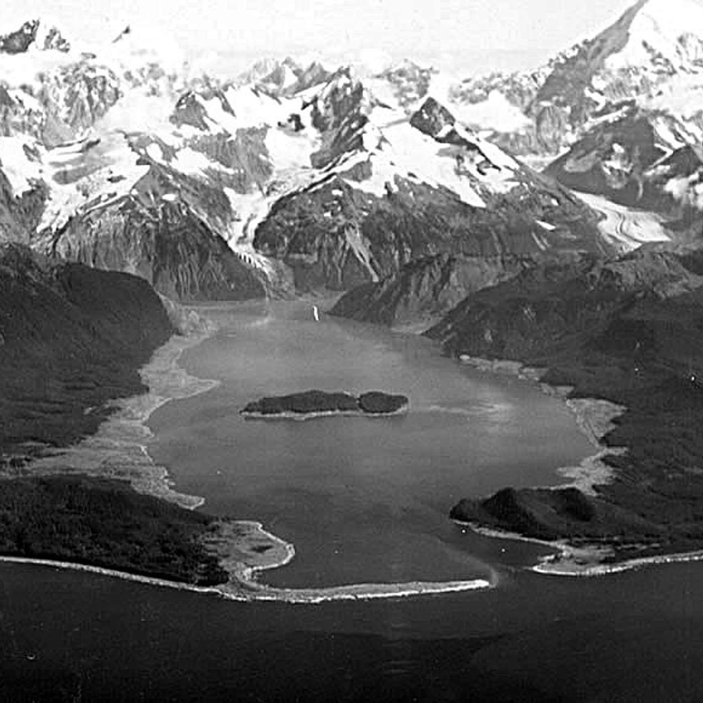 The Nonsense Chronicles