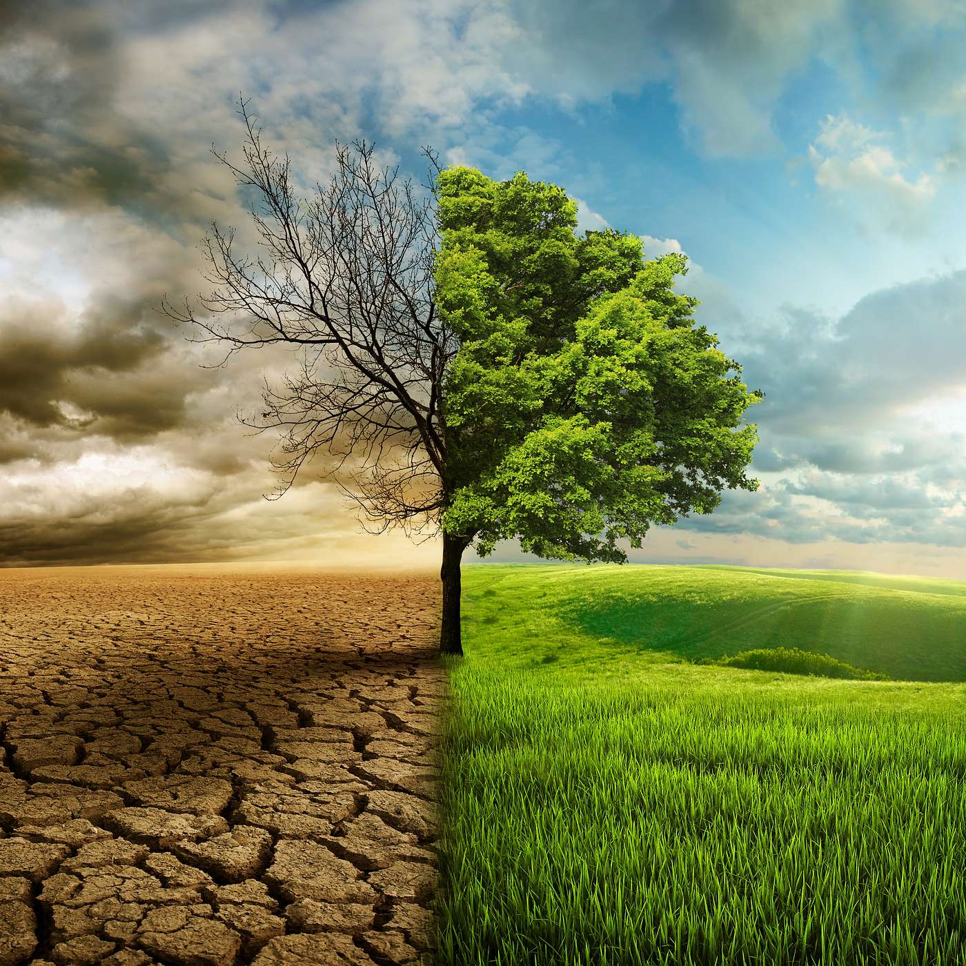 THE FRUIT OF THE SPIRIT 29: The Fruit of LONGSUFFERING part 3