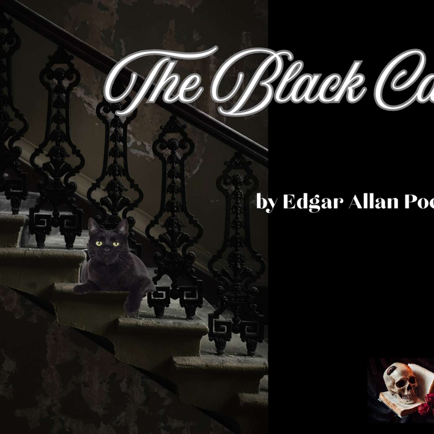 Echoes in the Dark with Rae Wilson