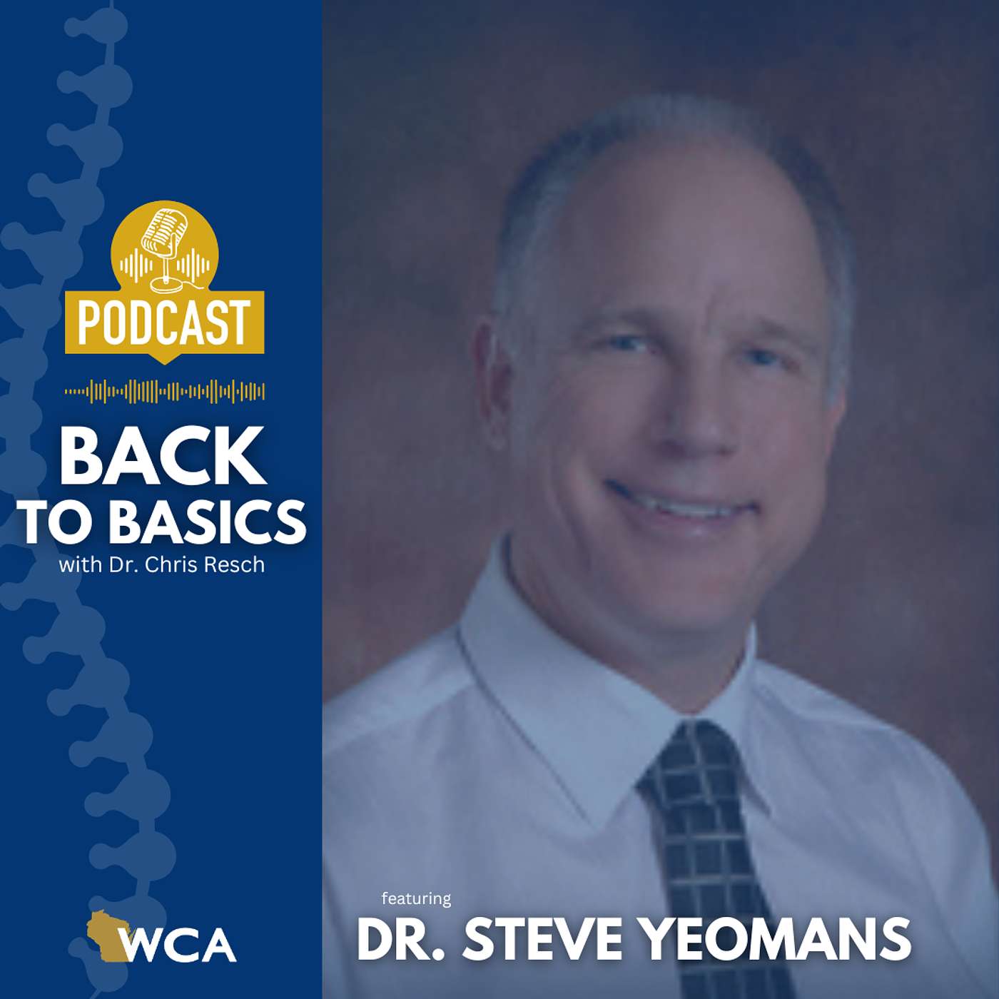 Dr. Steve Yeomans: A third-generation Wisconsin Chiropractor episode artwork