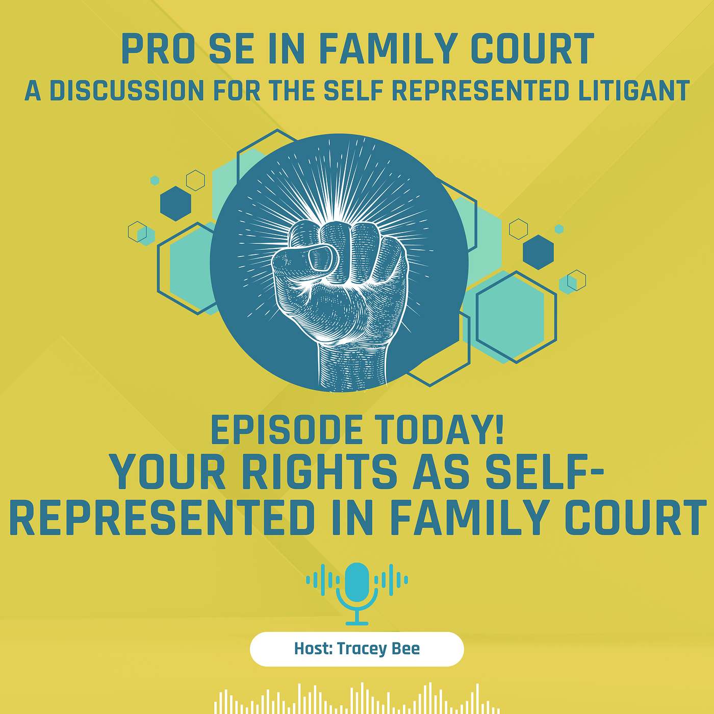 Episode 5: Your Rights as Self-Represented in Family Court episode artwork