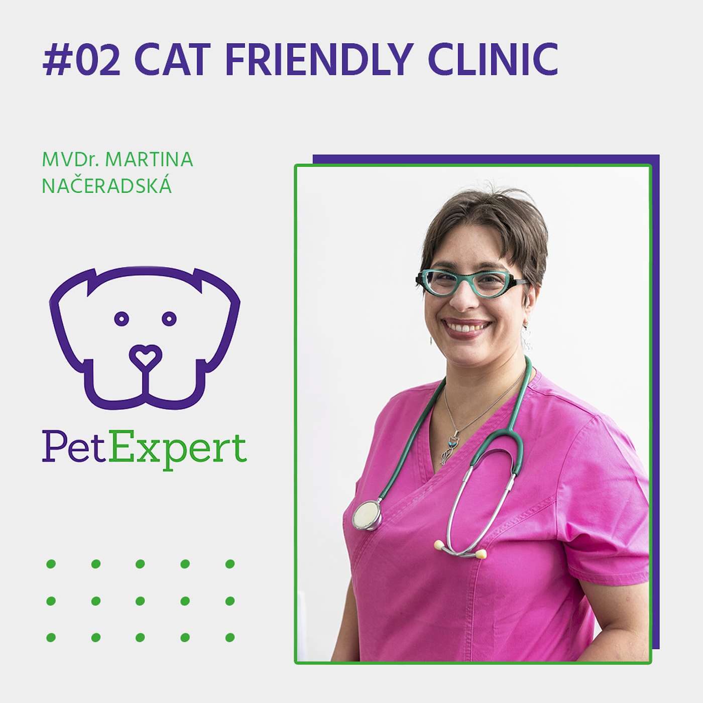 What is a cat friendly veterinary clinic?