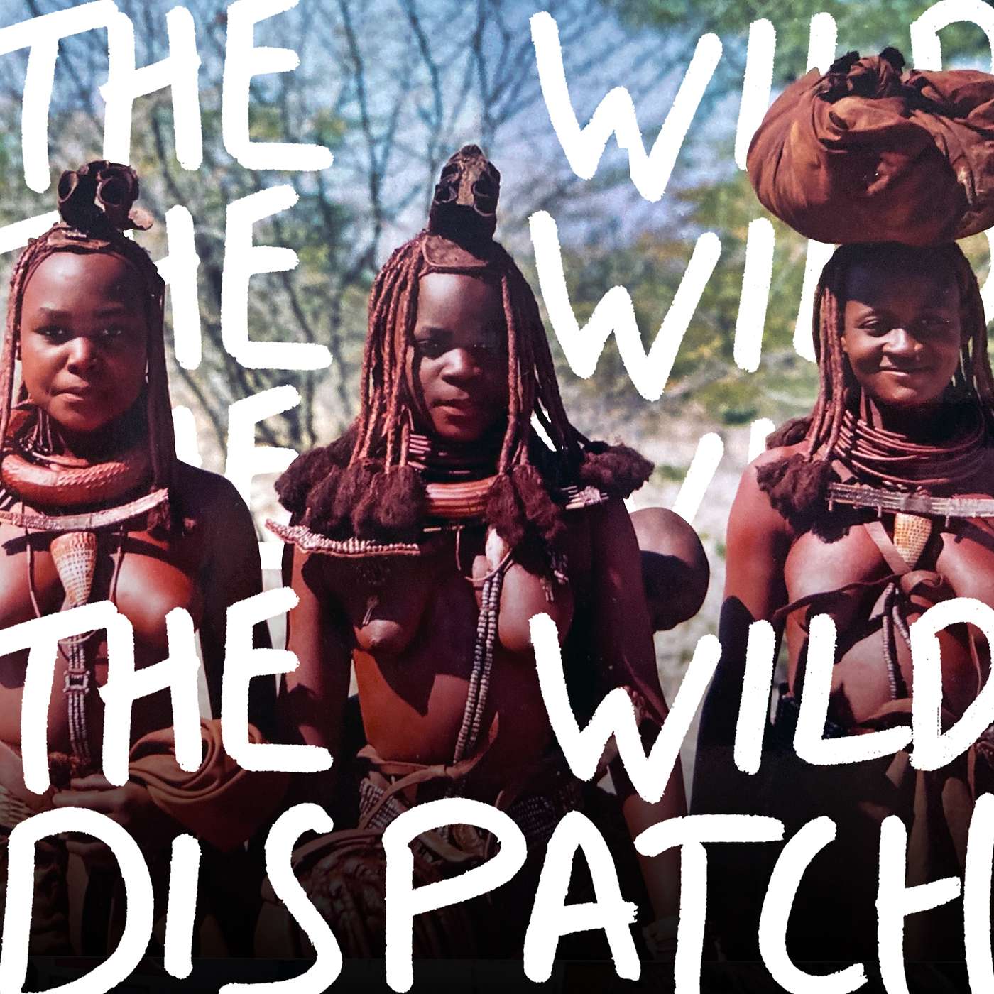 The Wild Dispatch