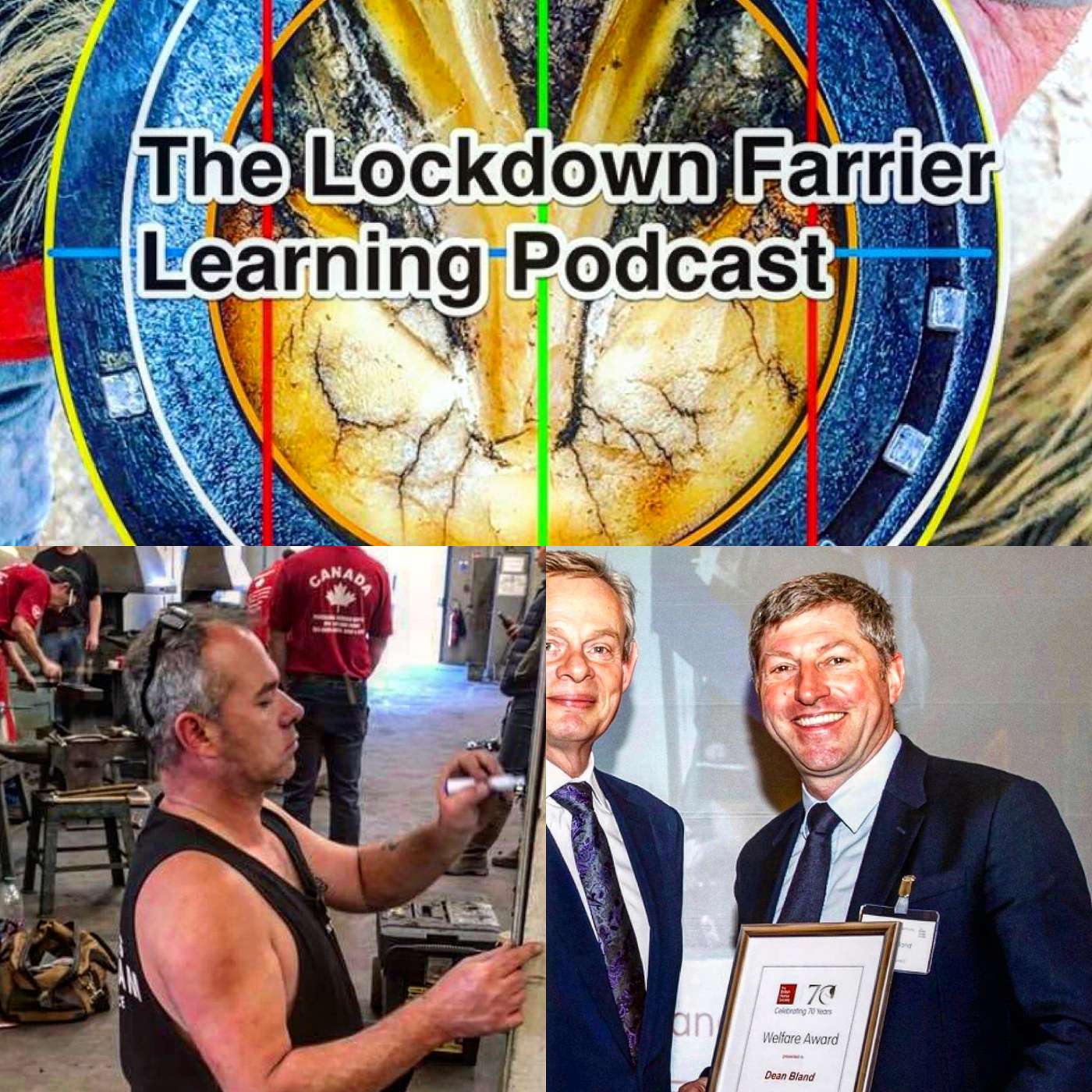 The Lockdown Farriery  Podcast