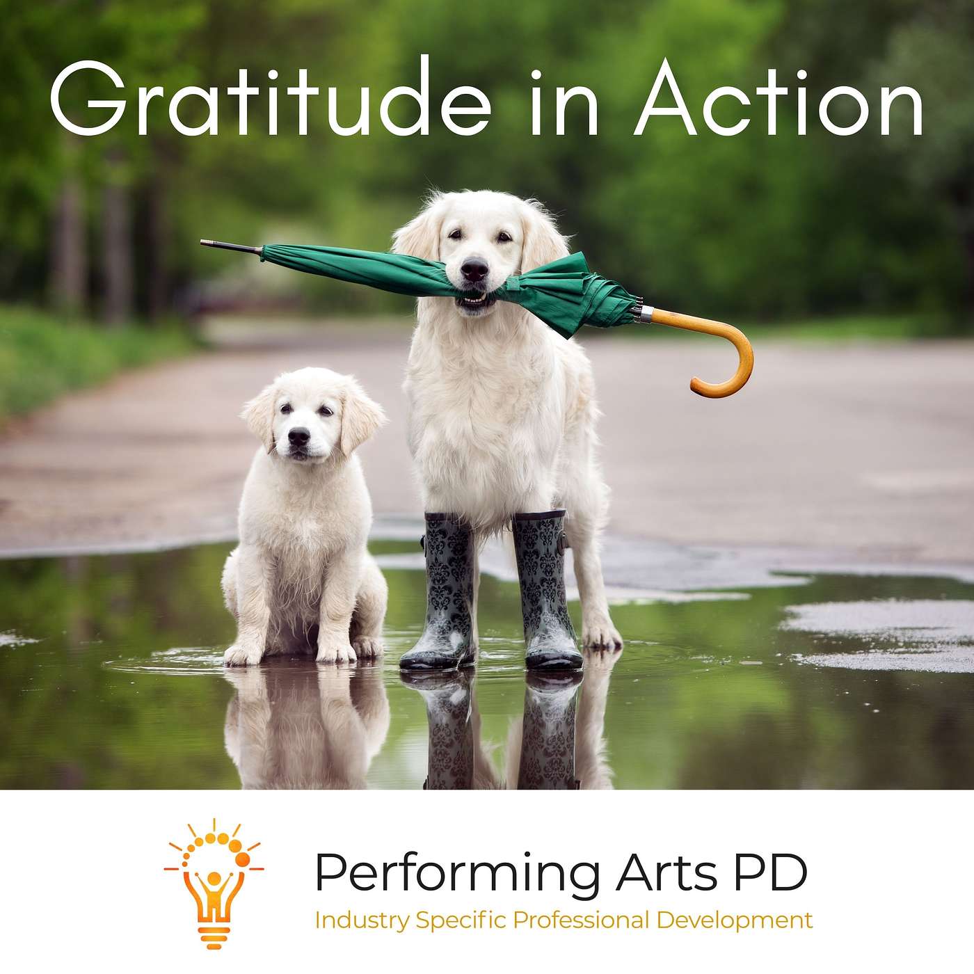 Gratitude in Action, My Body My Story episode artwork