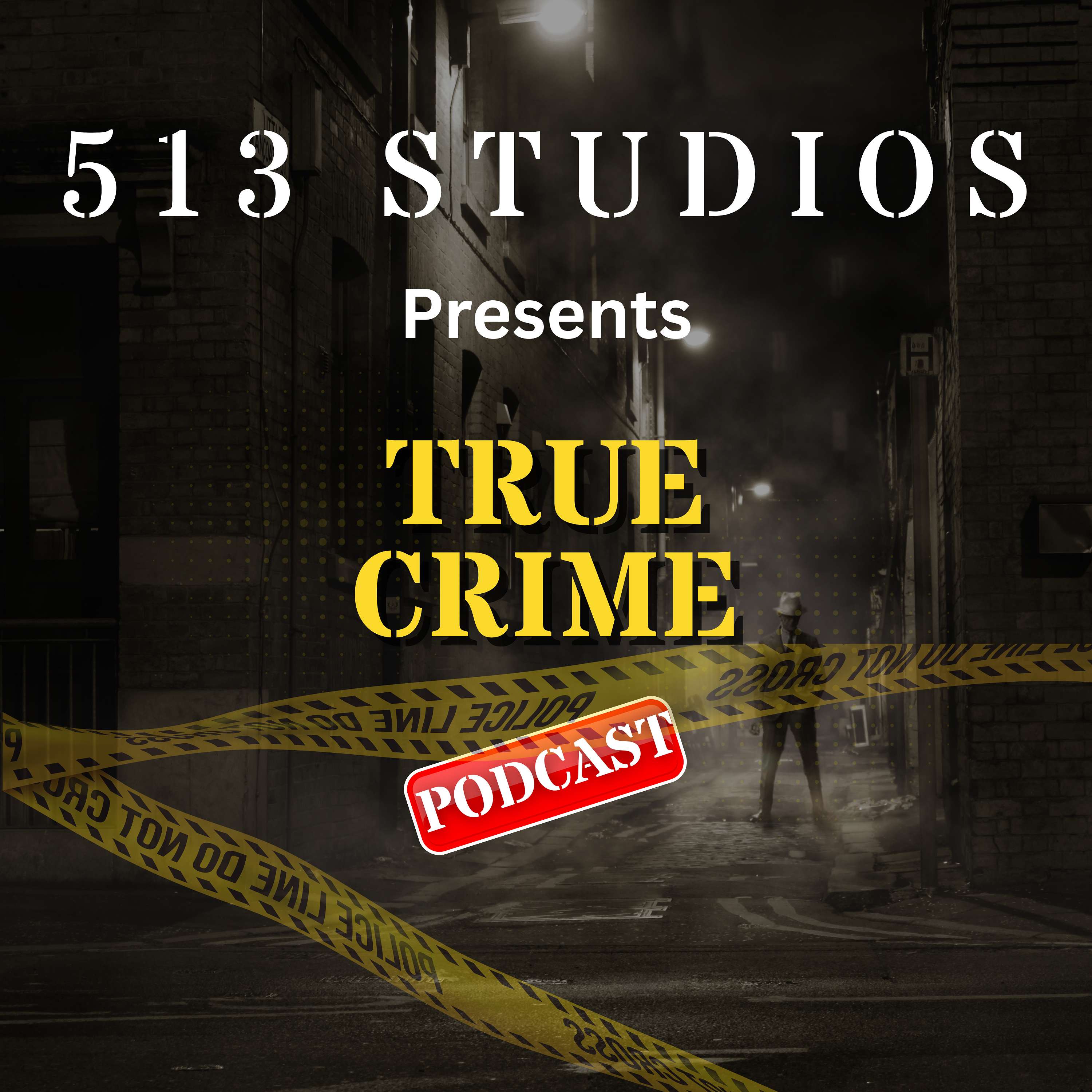 513 Studios cover art