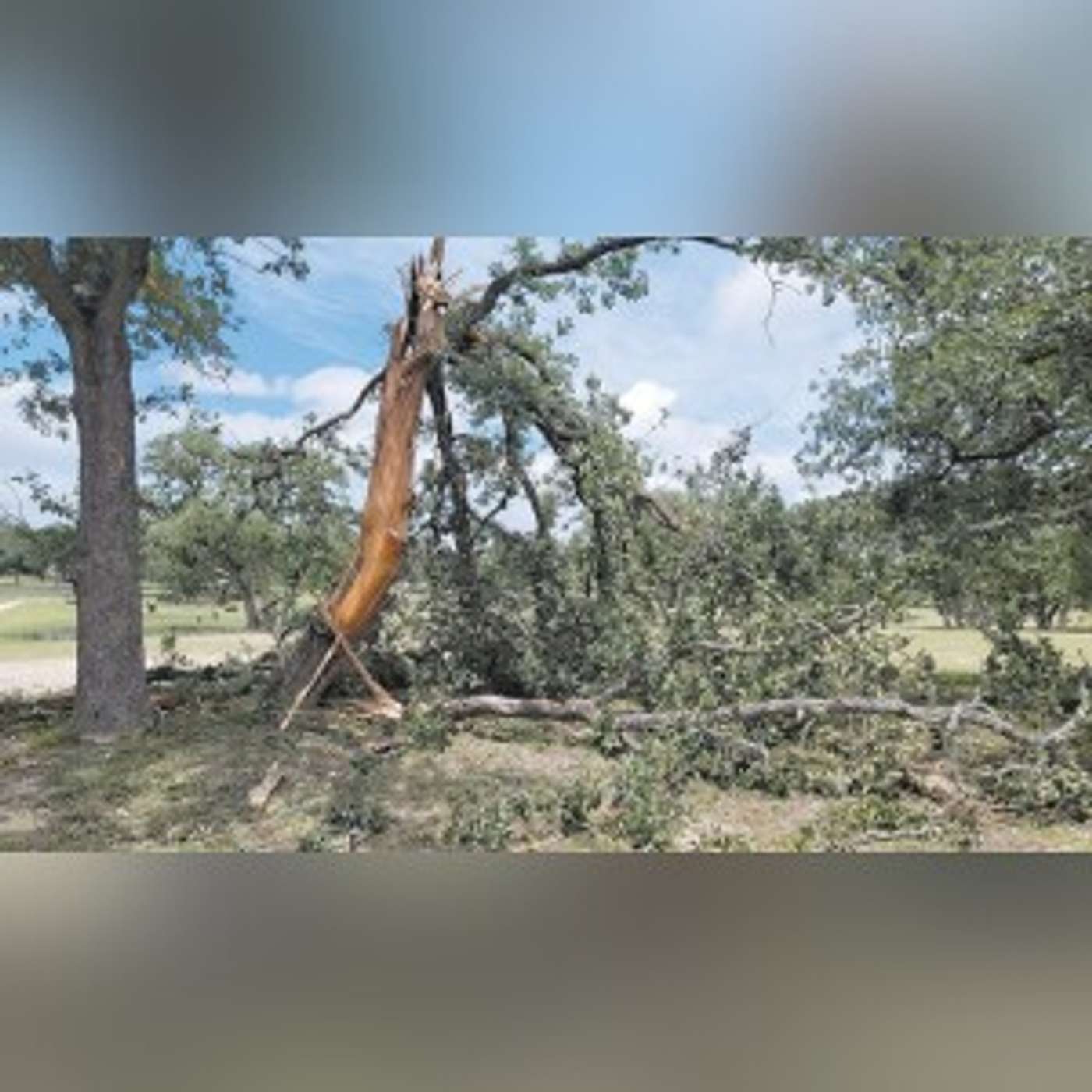 Thunderstorms leave damage across Wilson County episode artwork
