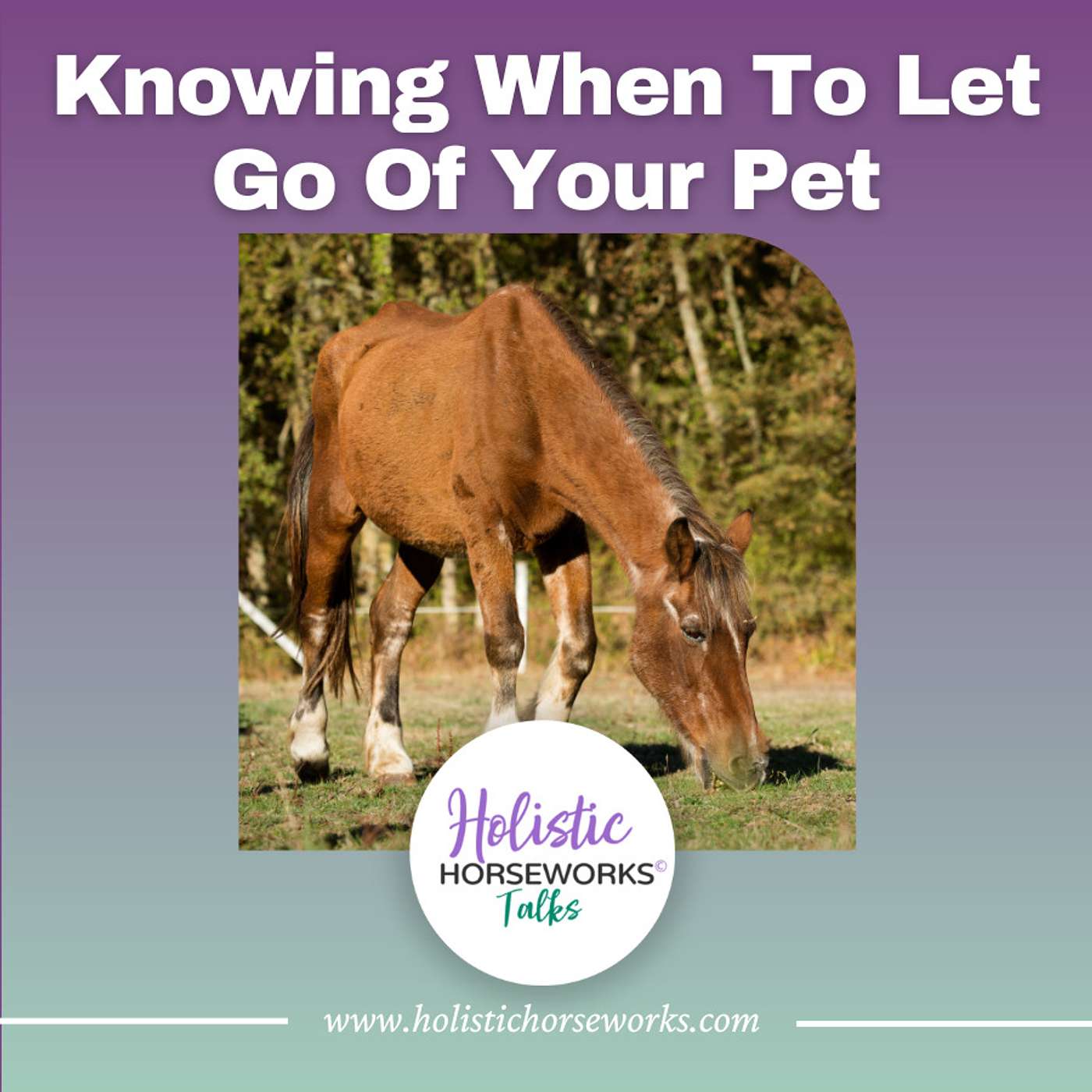 Holistic Horseworks Talks with April Love - Knowing When to Let Go of Your Pet