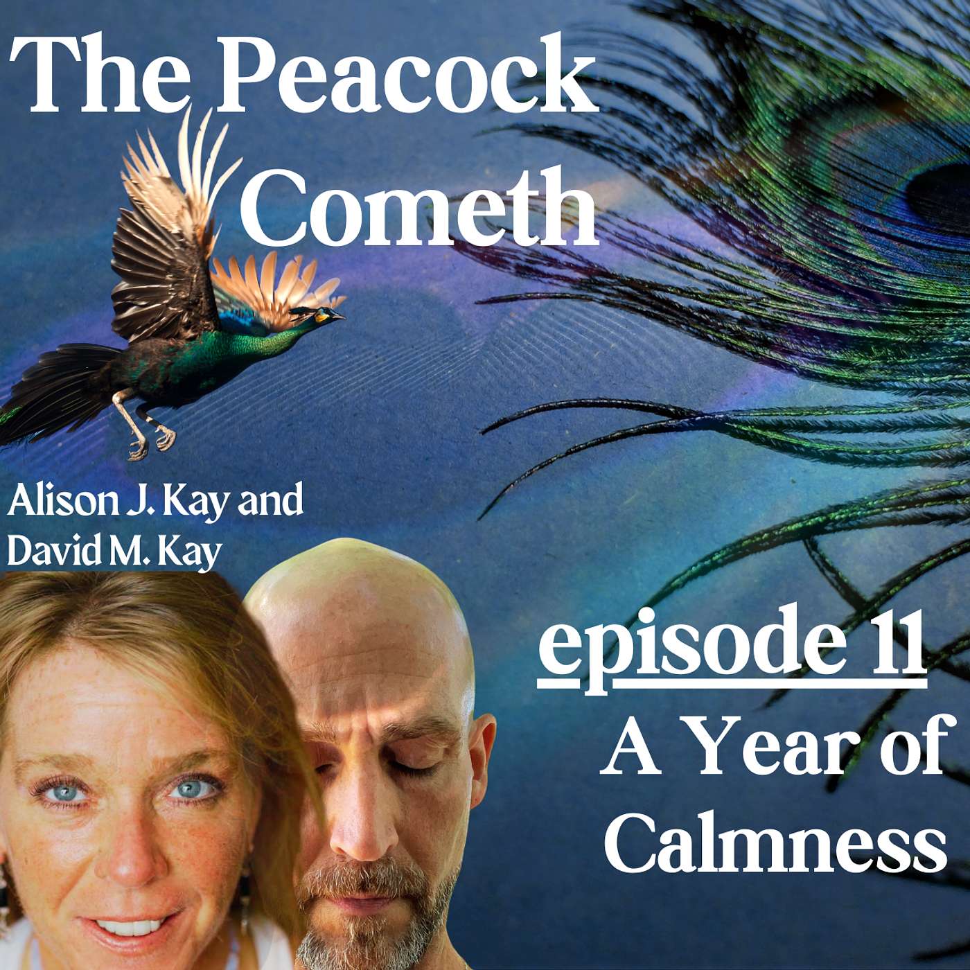 Episode 11: A Year of Calmness