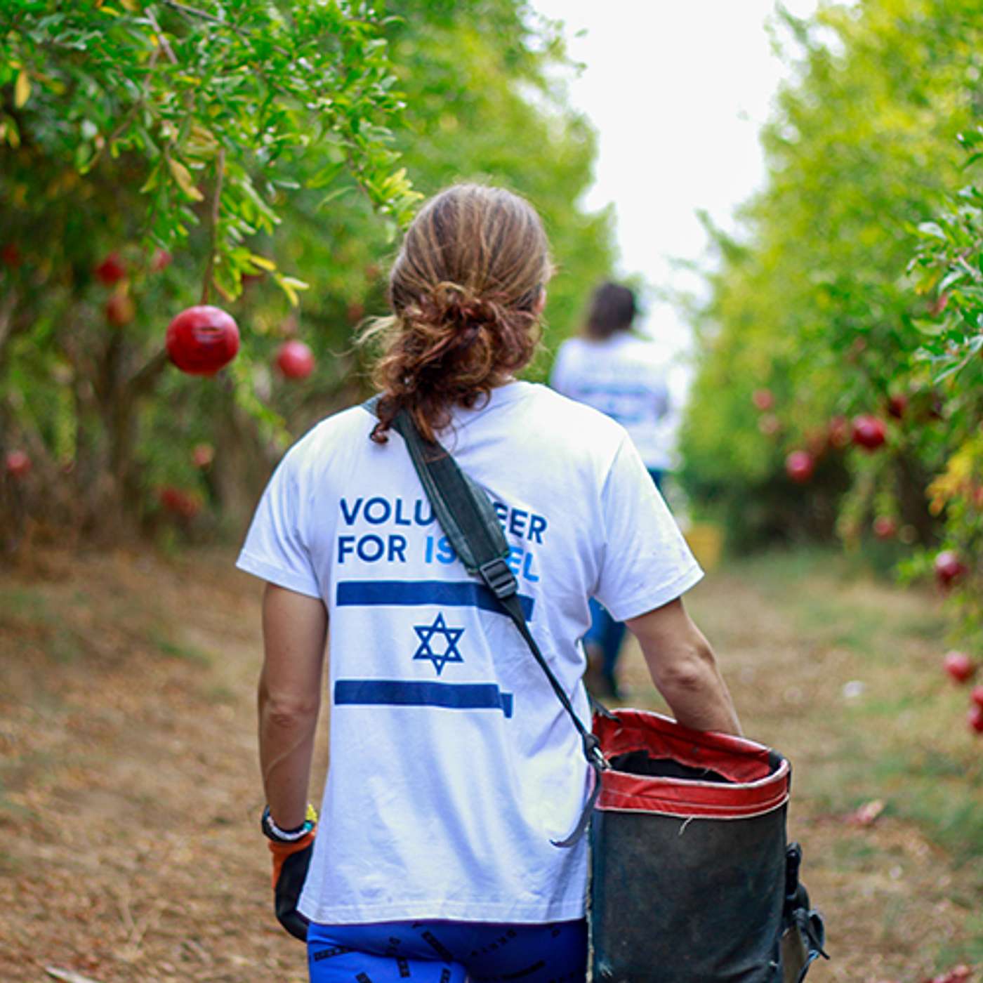 Episode 1478 - Been wanting to help Israel? Me too!